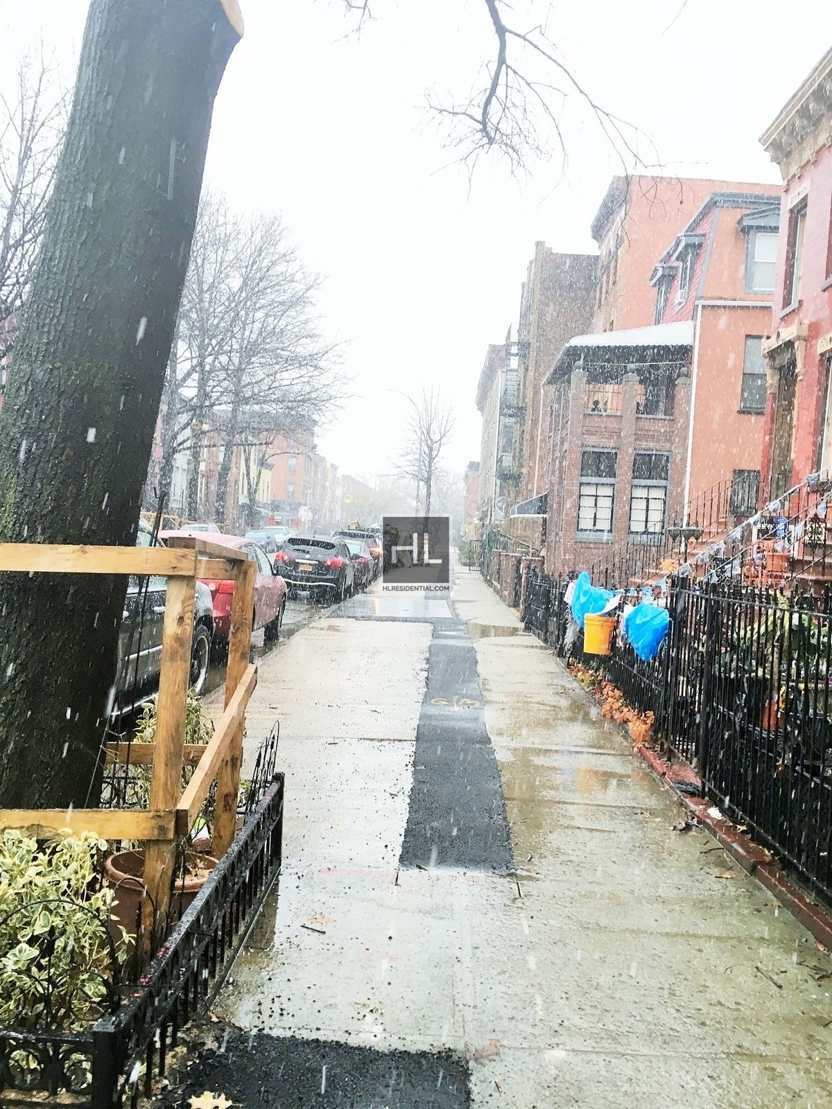 #13 photo, 444 Halsey Street, Bedford-Stuyvesant , NY 11233