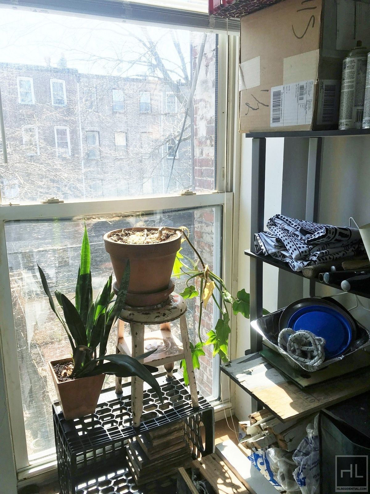 #3 photo, 444 Halsey Street, Bedford-Stuyvesant , NY 11233