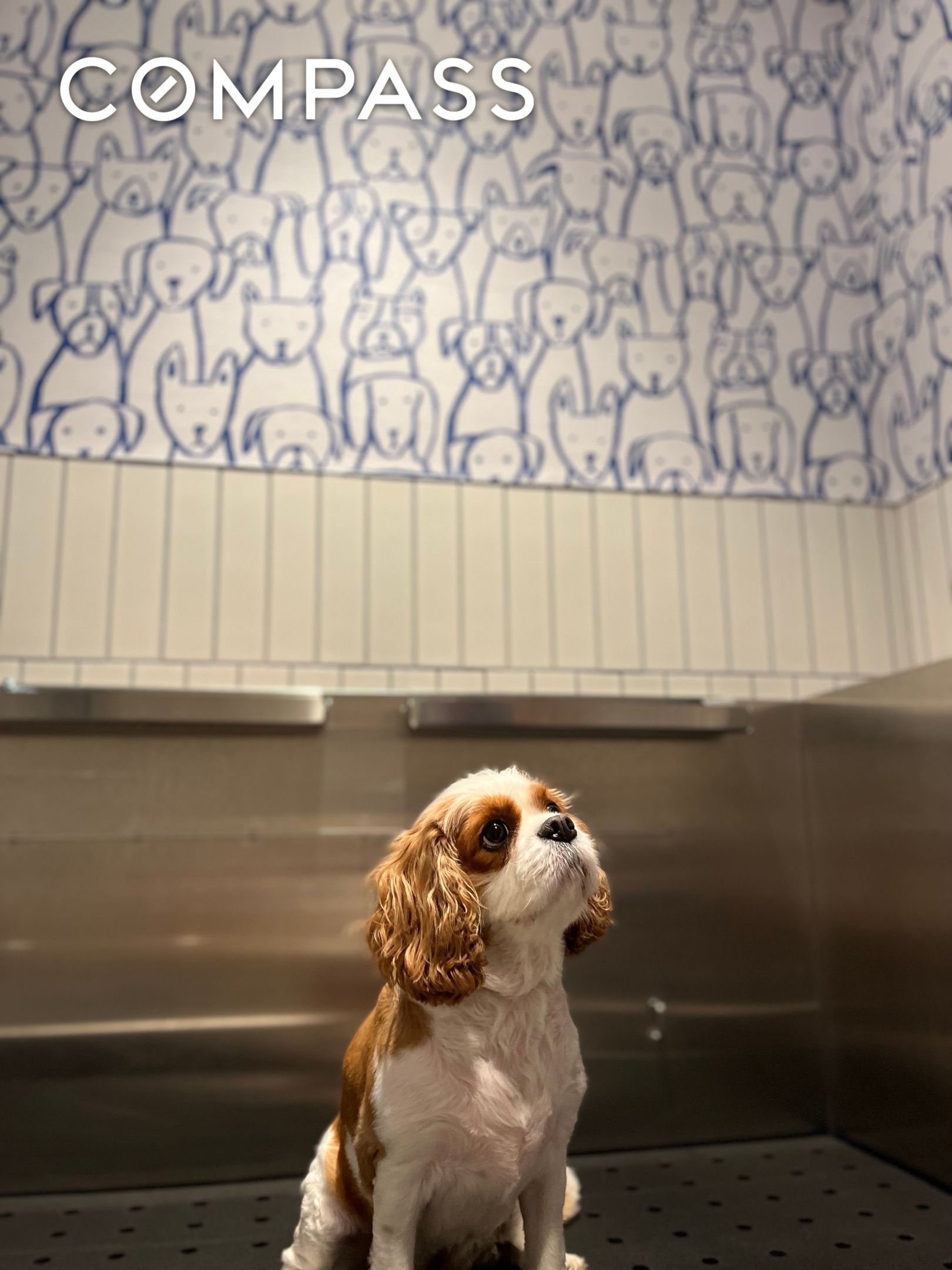 #16 photo, New York City, Flatiron , NY 10010