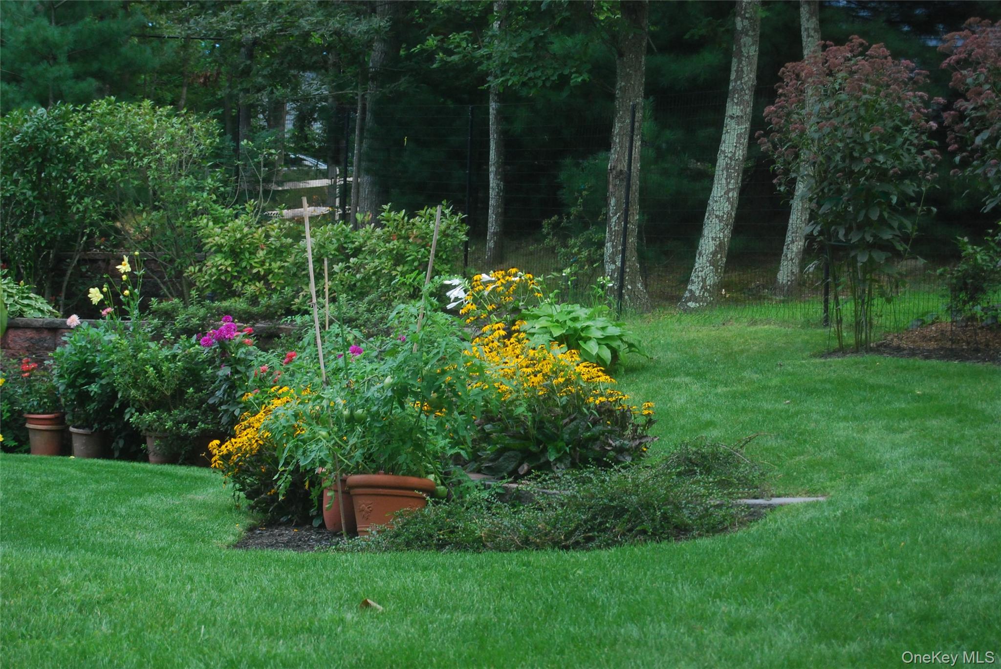 #18 photo, 17 Downer Place, 東長島 汉普顿 Sag Harbor , NY 11963