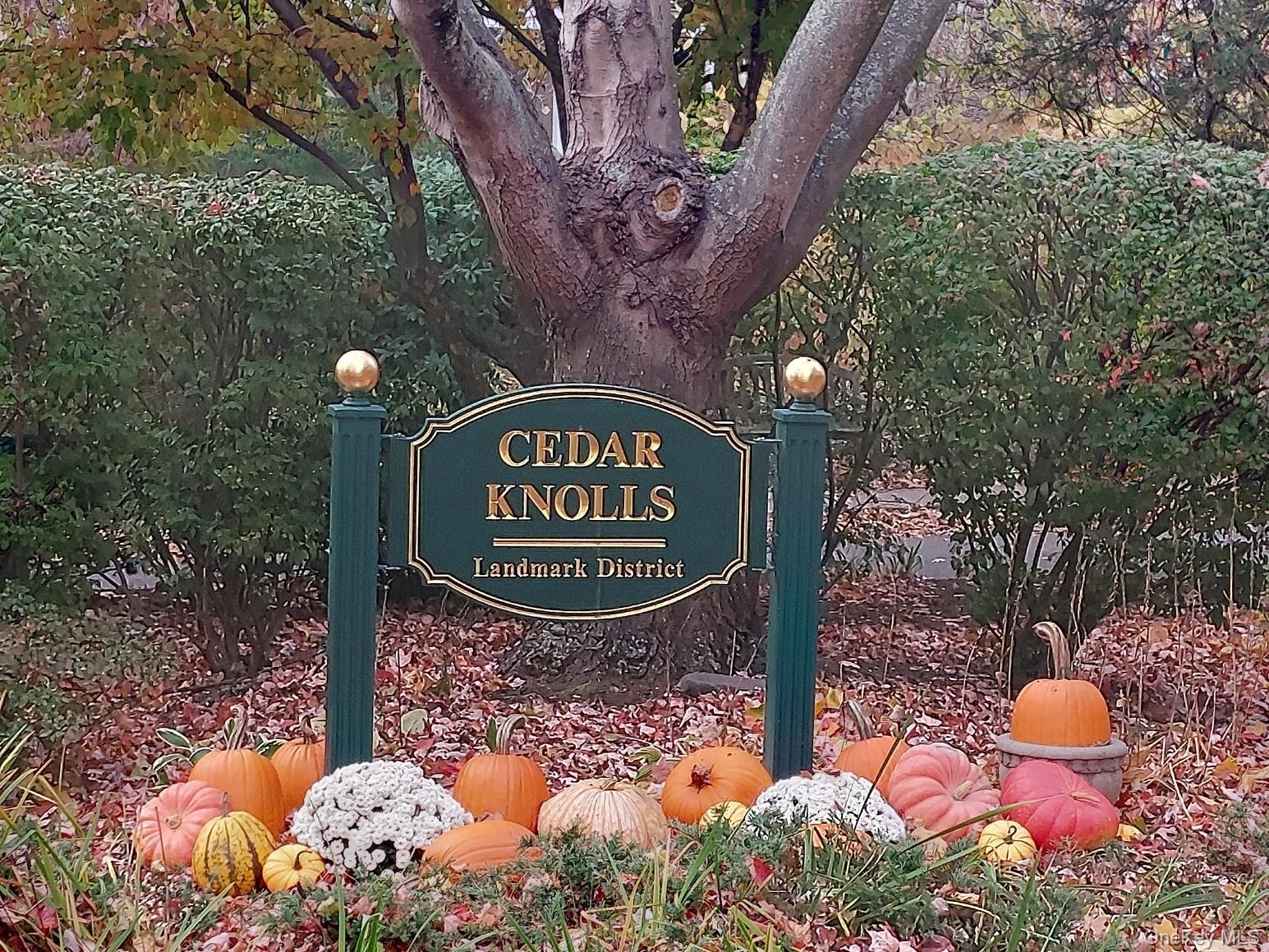 #3 photo, 125 a/k/a 33 Cedar Lane, ব্রঙ্কস Bronxville , NY 10708