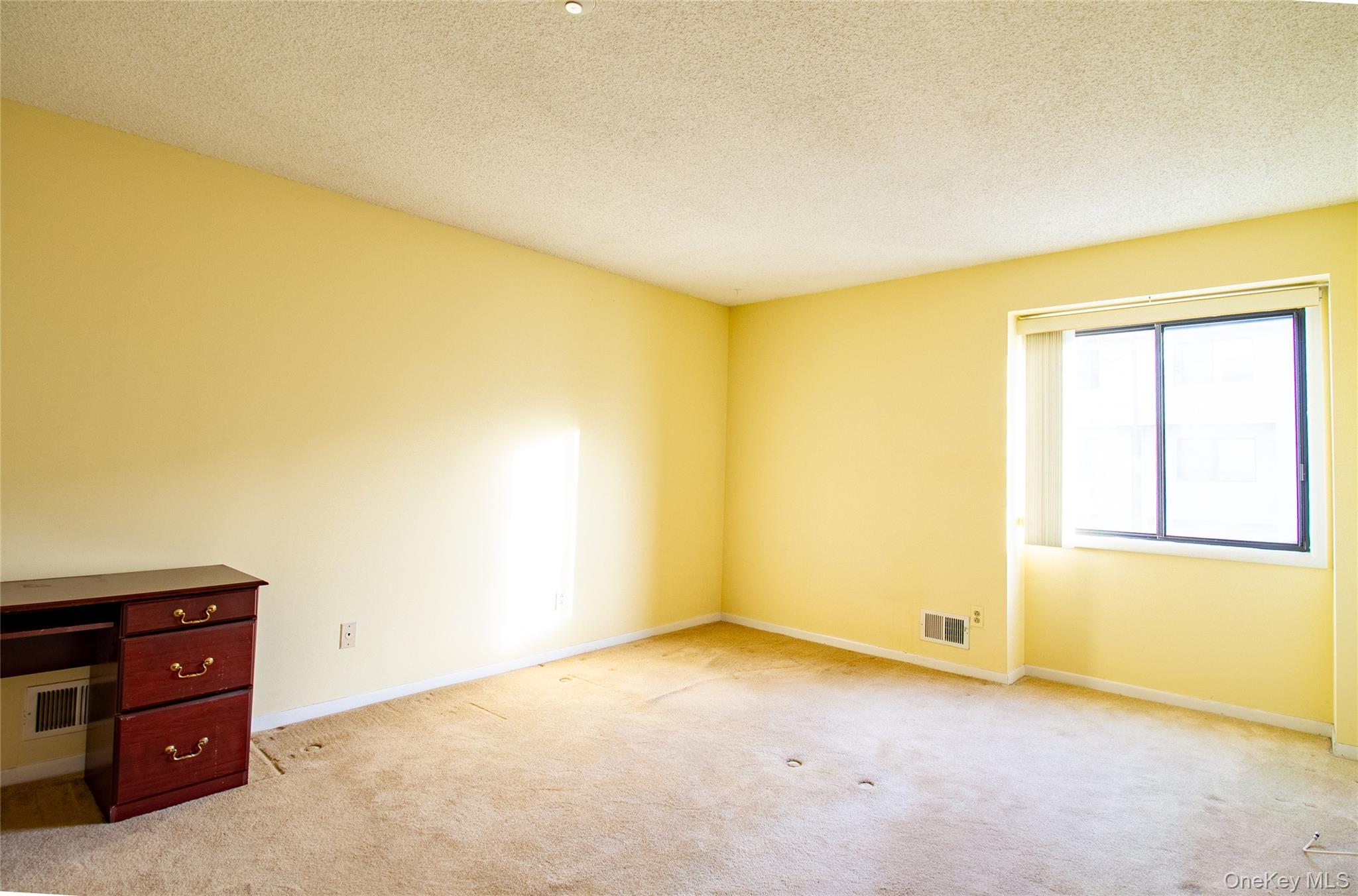 #9 photo, 38 Chester Lane, Nanuet , NY 10954