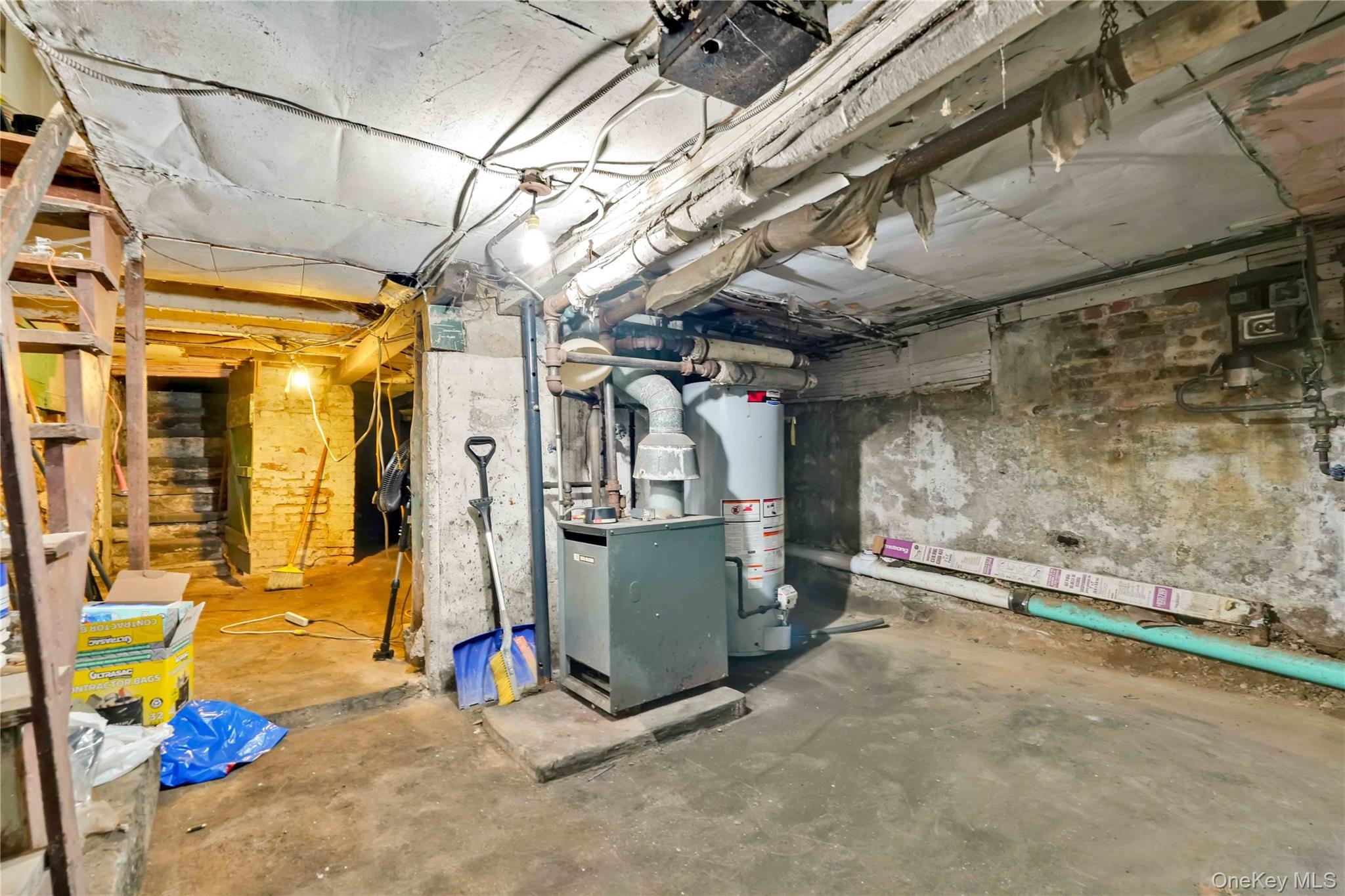 #17 photo, 207 Bradford Street, Brooklyn , NY 11207