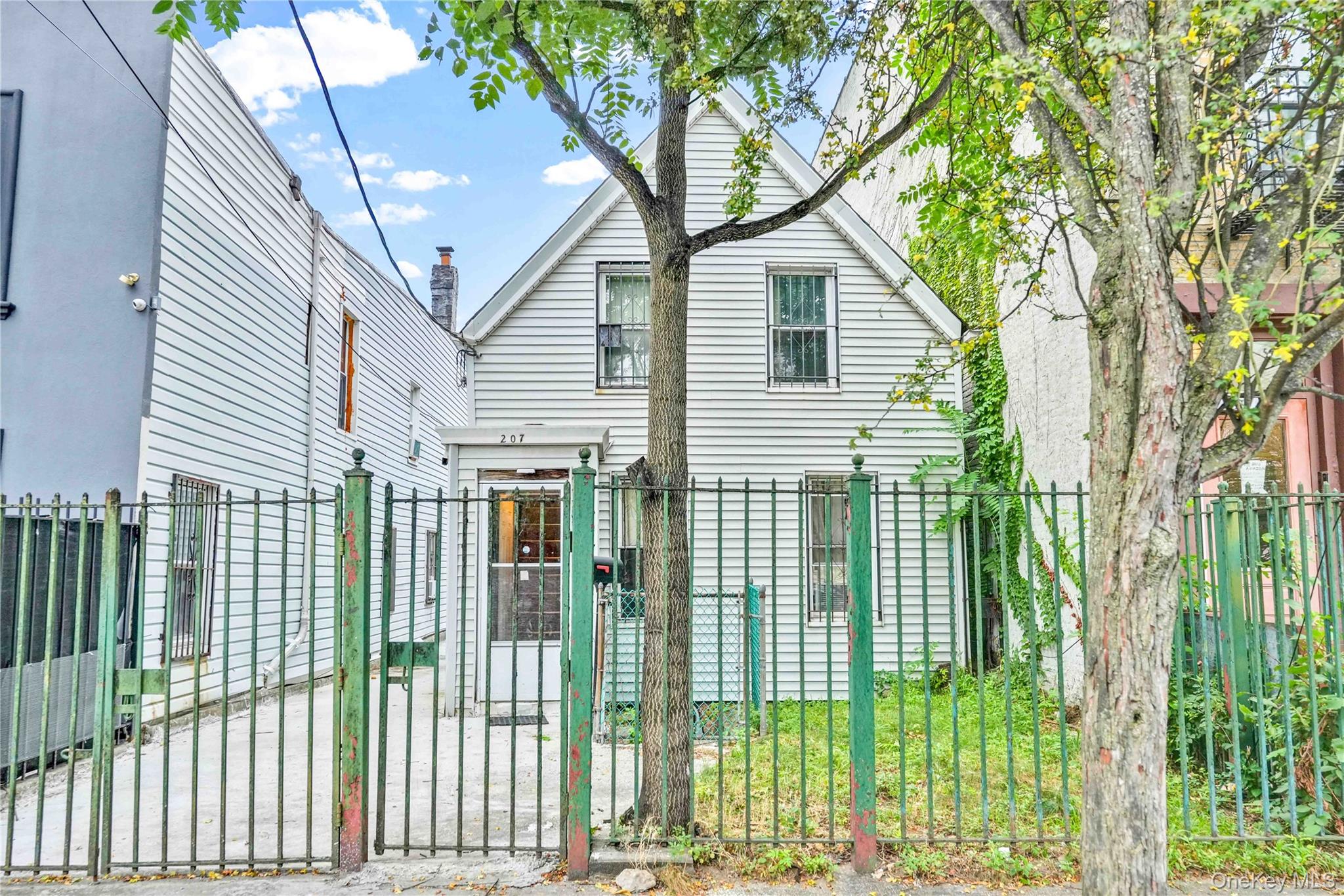 #18 photo, 207 Bradford Street, Brooklyn , NY 11207