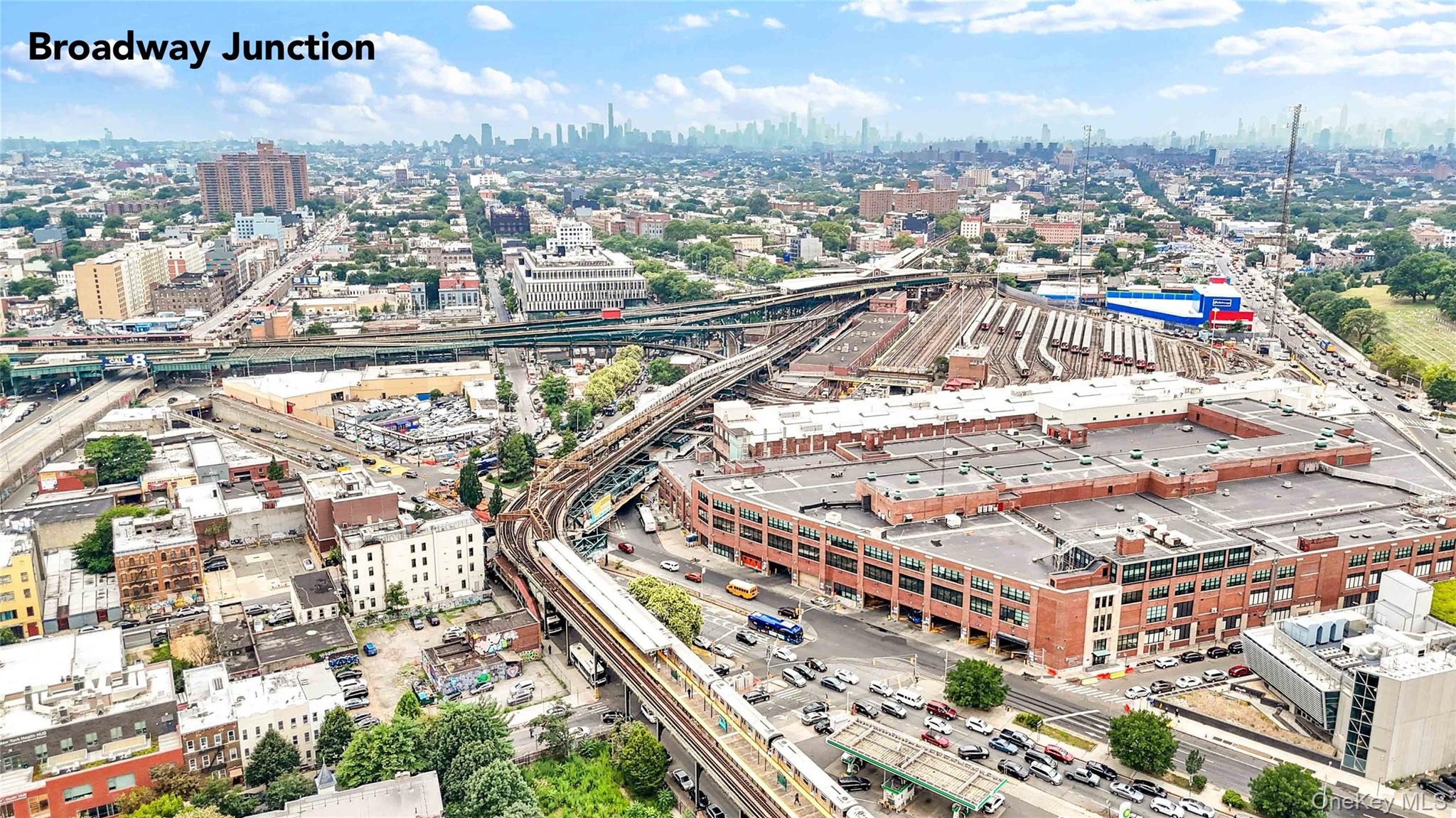 #8 photo, 207 Bradford Street, Brooklyn , NY 11207