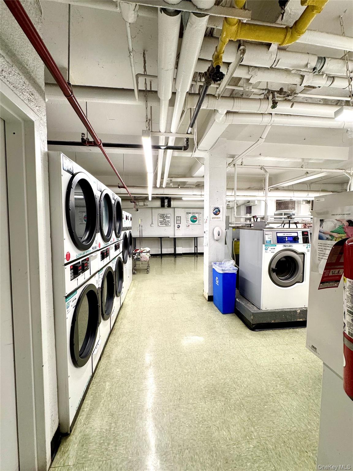 #15 photo, 89-15 Parsons Boulevard, 뉴욕퀸즈 Jamaica , NY 11432