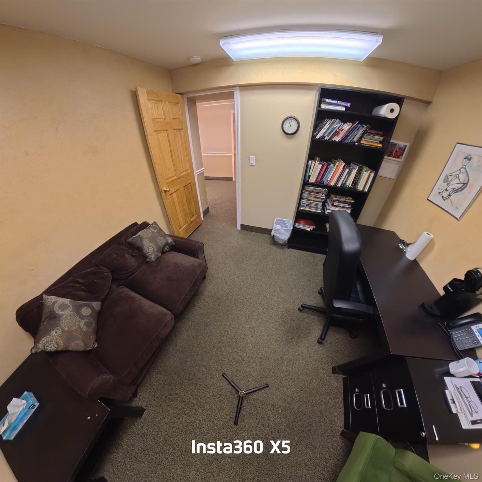 #10 photo, 302 Willis Avenue, নাসাউ কাউন্টি Mineola , NY 11501