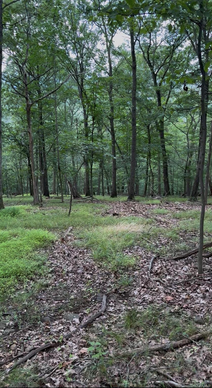 #10 photo, 660 Route 9W, Valley Cottage , NY 10989