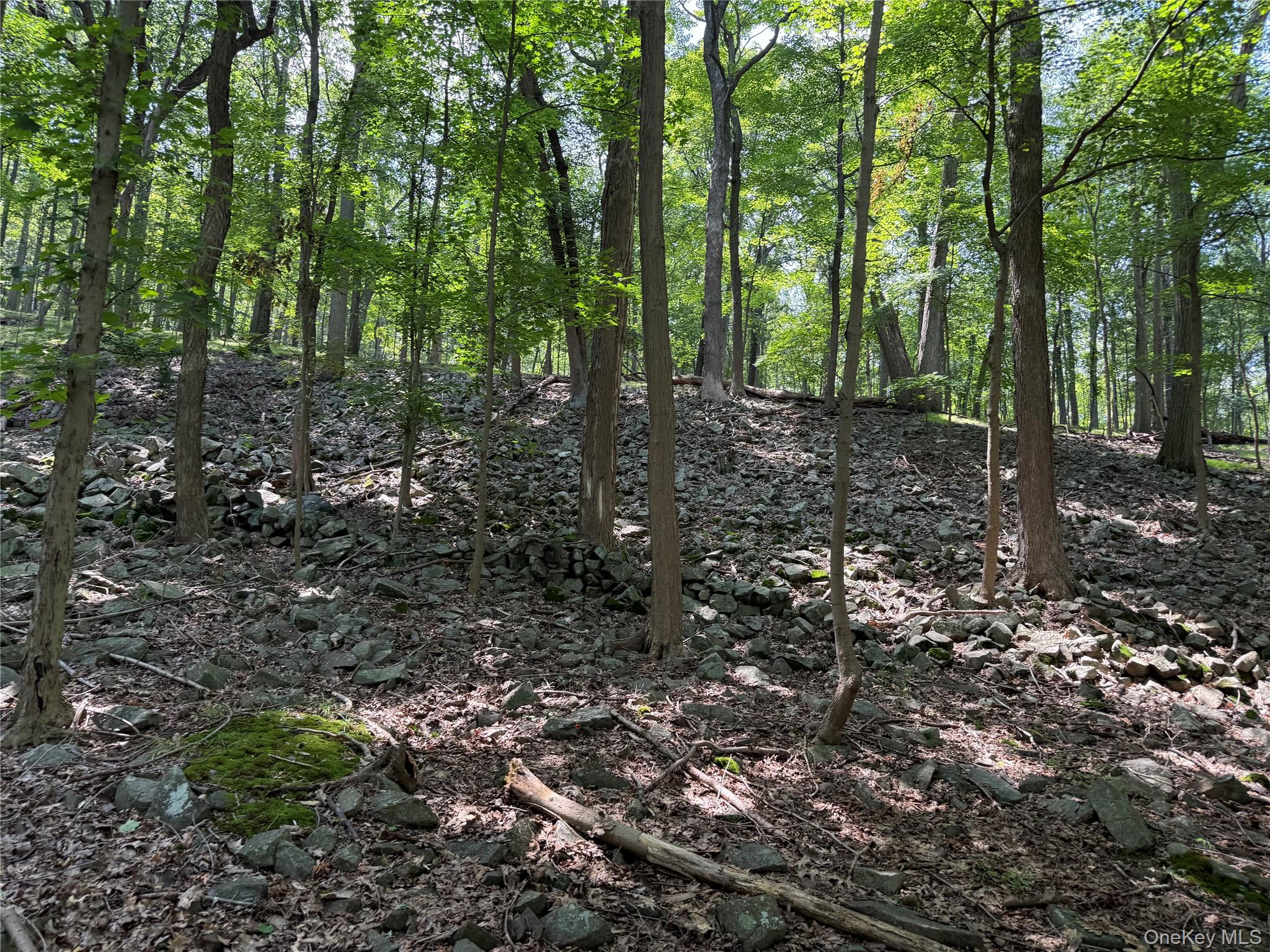 #6 photo, 660 Route 9W, Valley Cottage , NY 10989