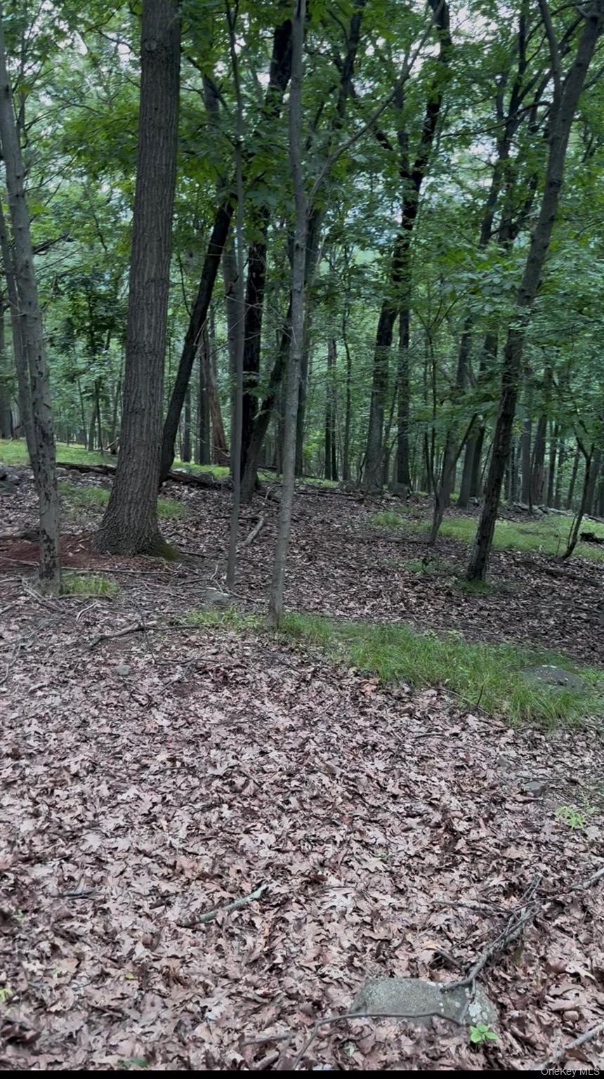 #7 photo, 660 Route 9W, Valley Cottage , NY 10989