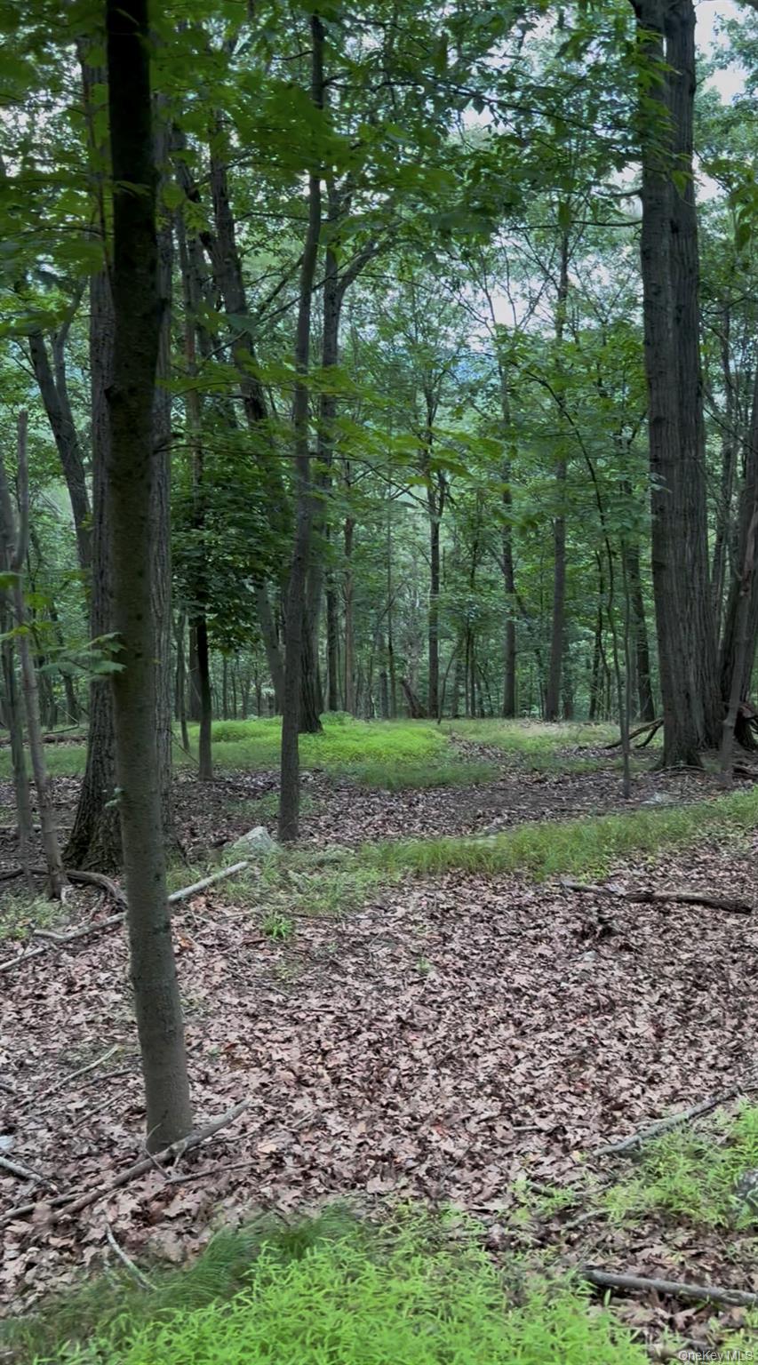 #8 photo, 660 Route 9W, Valley Cottage , NY 10989