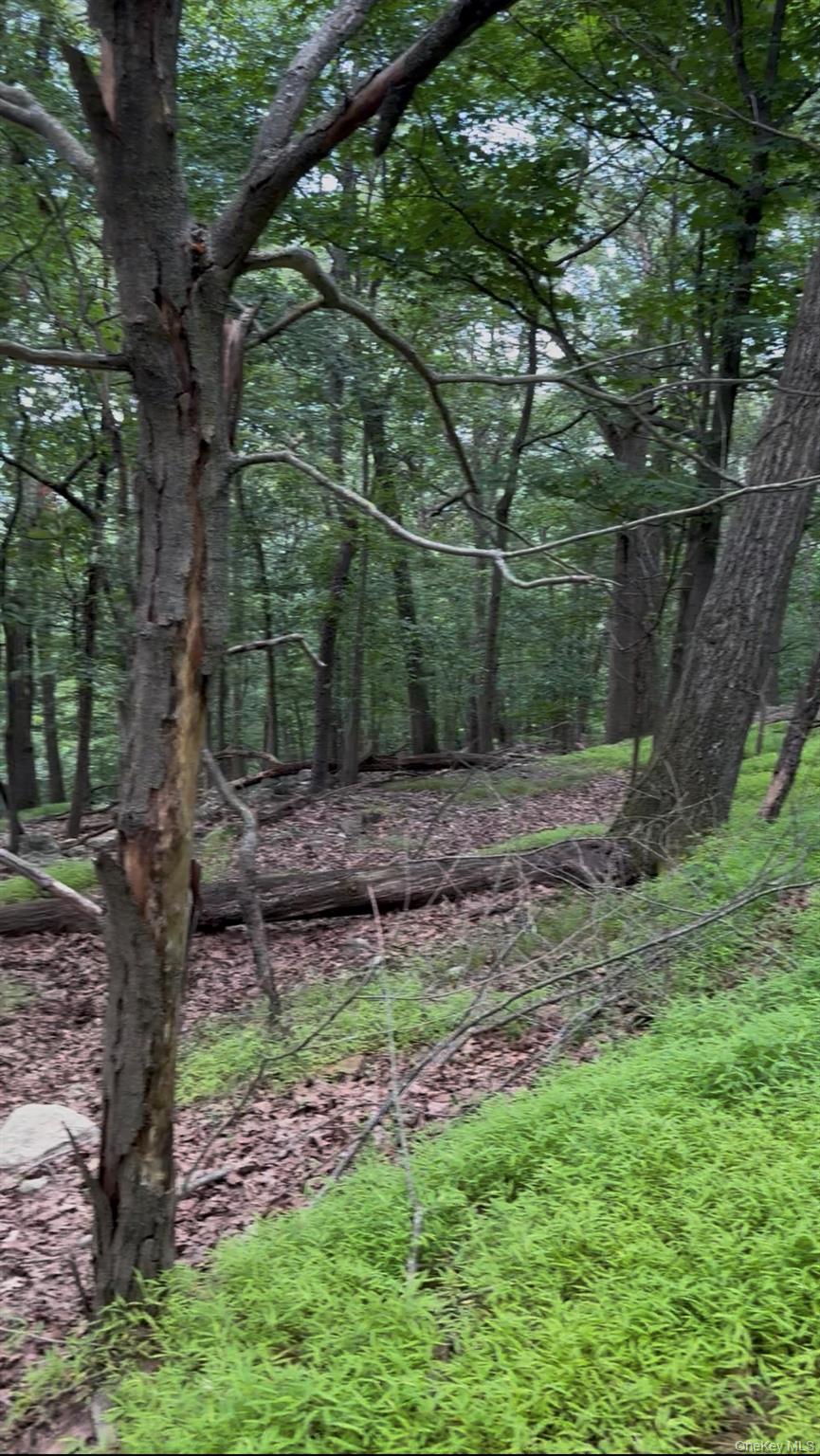 #9 photo, 660 Route 9W, Valley Cottage , NY 10989