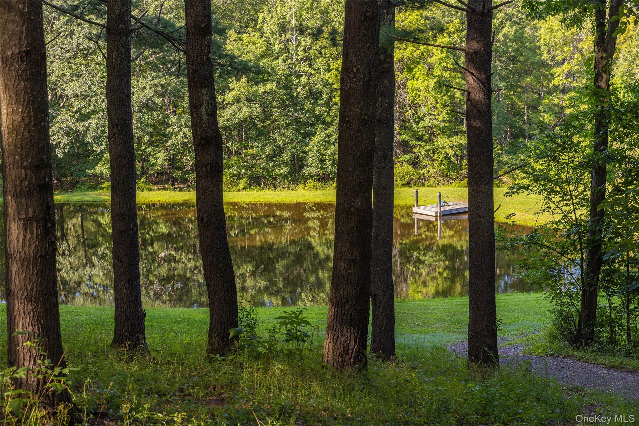 #4 photo, 596 Joseph Chadderdon Road, Cairo , NY 12405