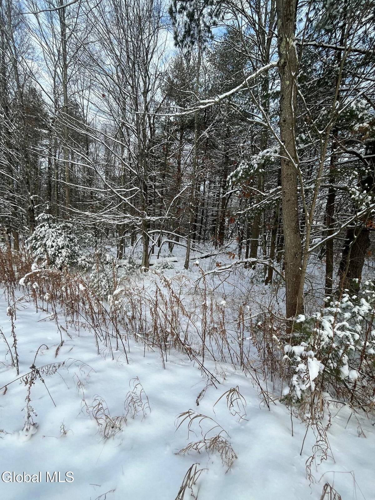 #10 photo, L27.11 Kings Road, Wilton , NY 12831