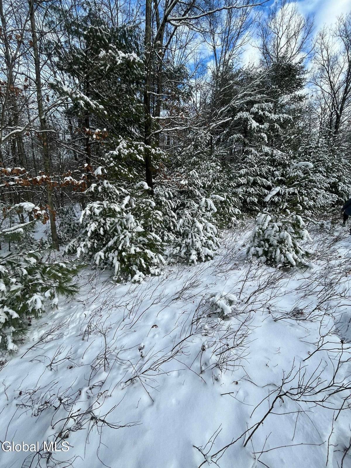 #14 photo, L27.11 Kings Road, Wilton , NY 12831