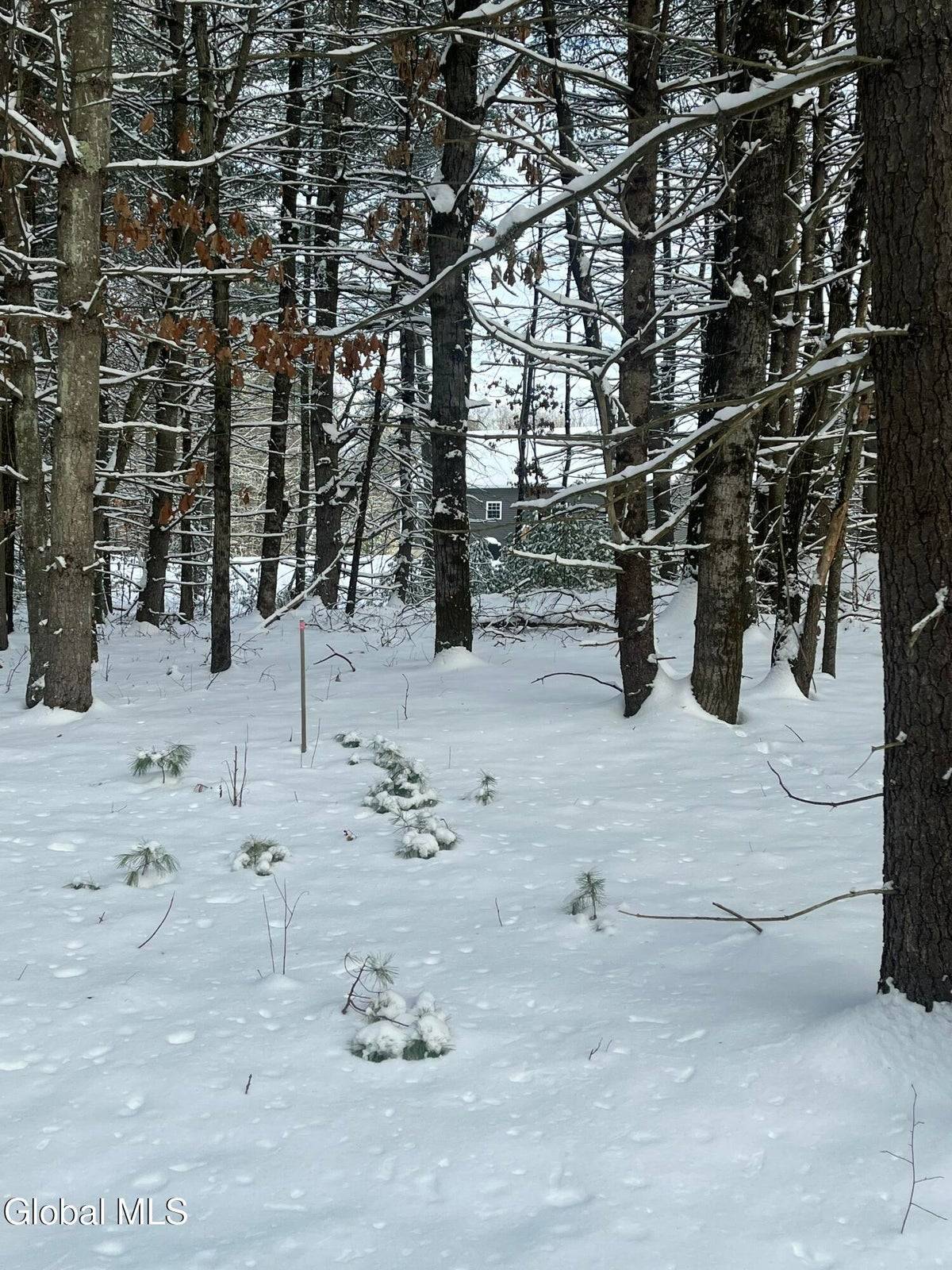 #16 photo, L27.11 Kings Road, Wilton , NY 12831