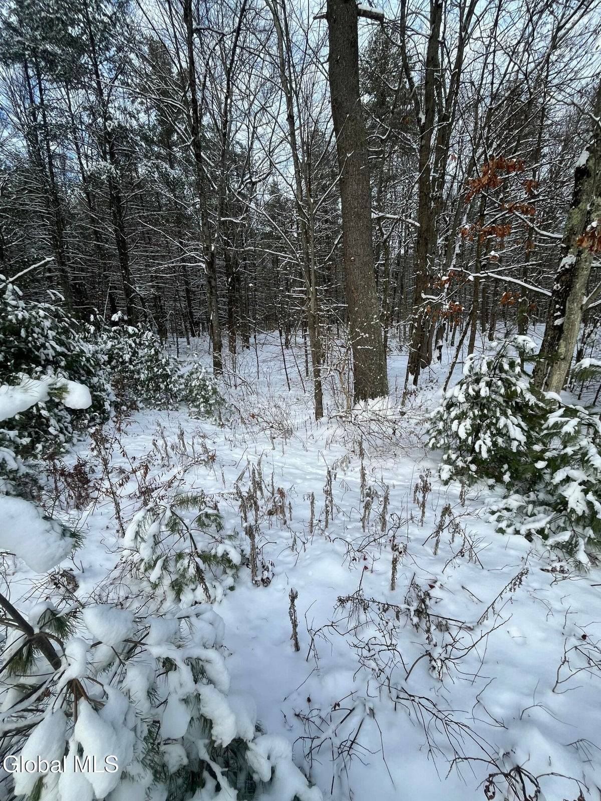 #2 photo, L27.11 Kings Road, Wilton , NY 12831