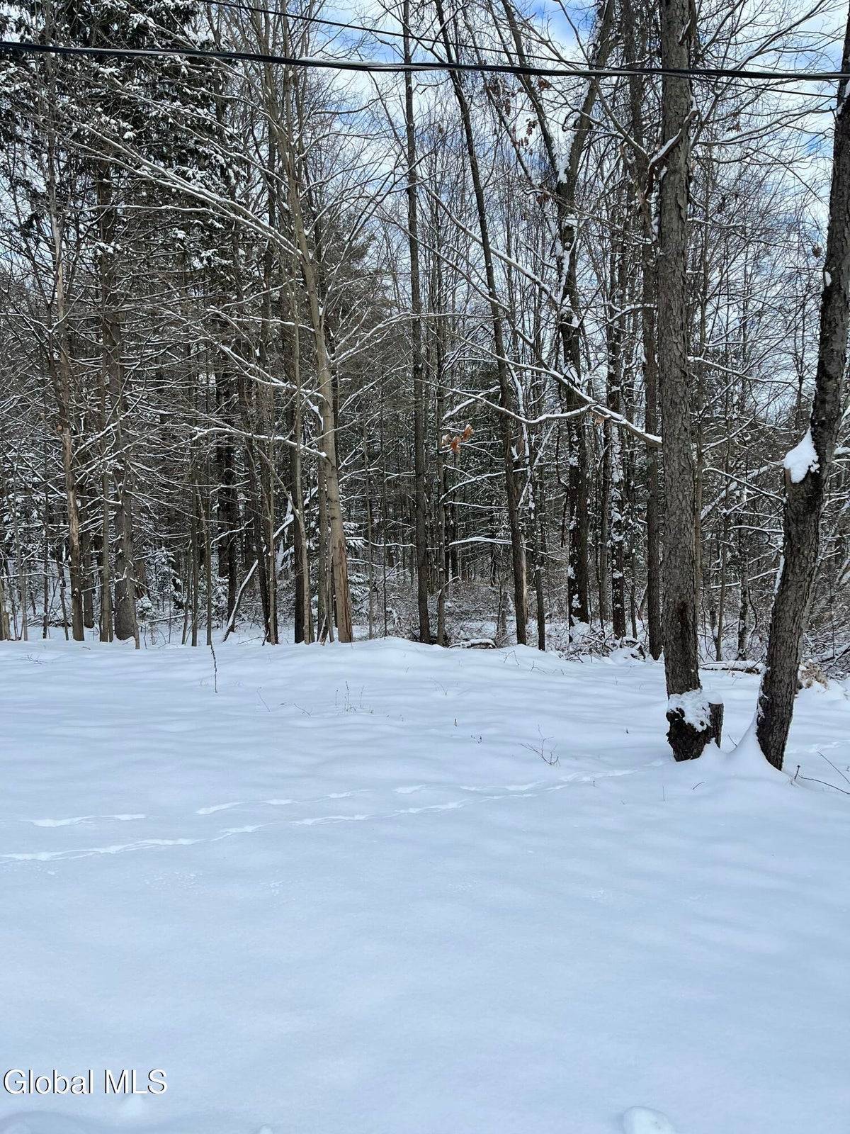 #5 photo, L27.11 Kings Road, Wilton , NY 12831