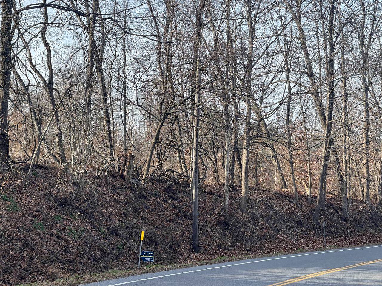 #4 photo, 0 Freedom Rd, Pleasant Valley , NY 12569