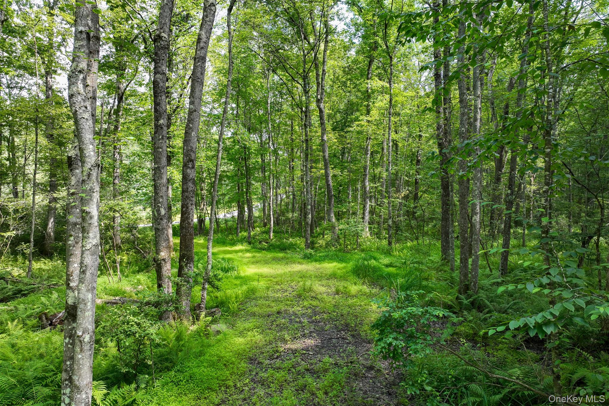 #10 photo, Lot 69 Cushetunk Drive, Cochecton , NY 12726