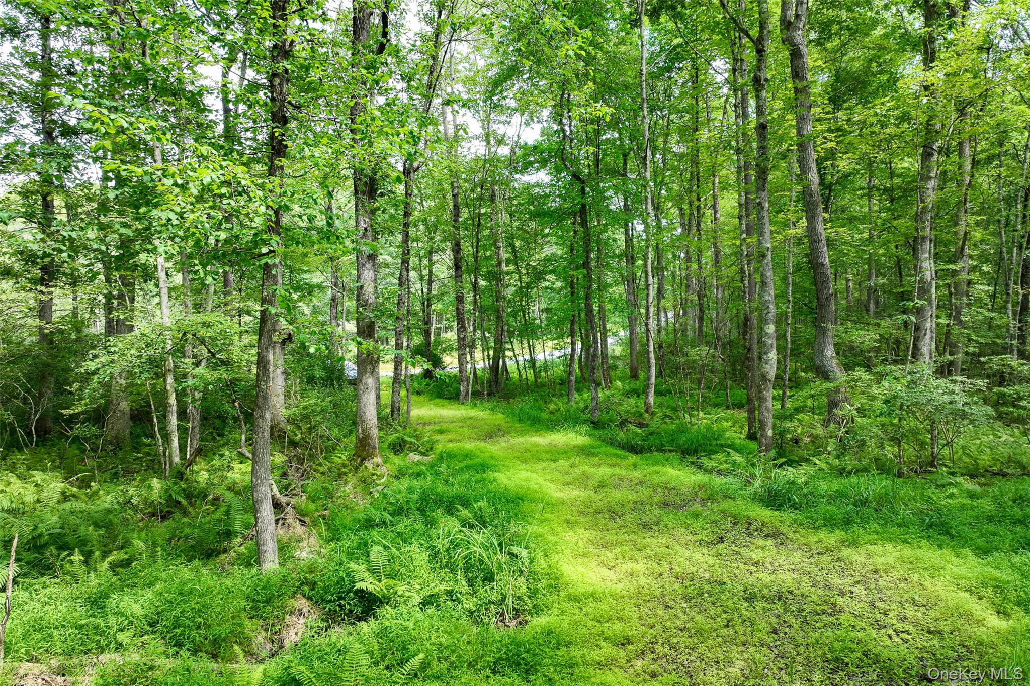 #11 photo, Lot 69 Cushetunk Drive, Cochecton , NY 12726