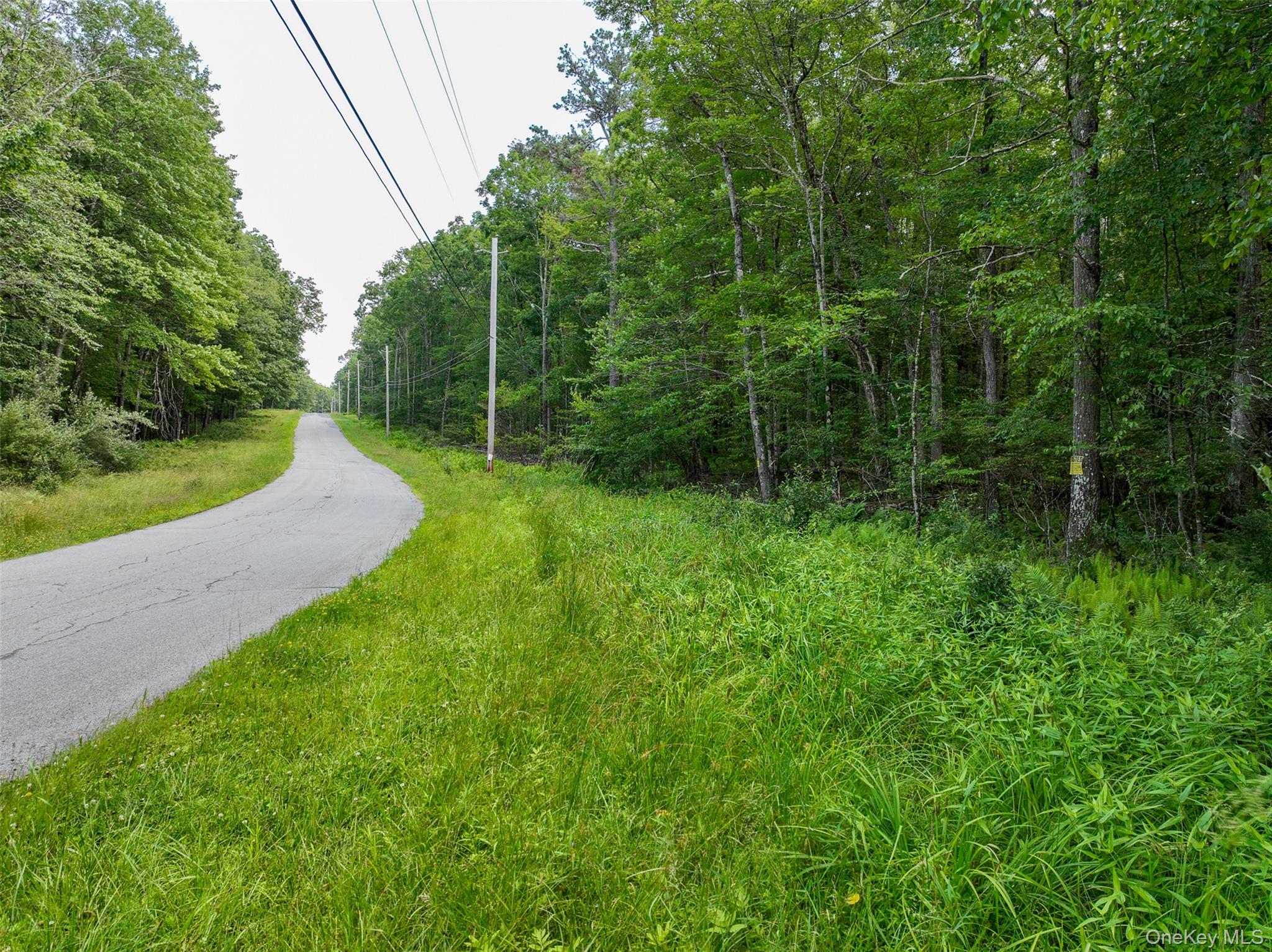 #13 photo, Lot 69 Cushetunk Drive, Cochecton , NY 12726