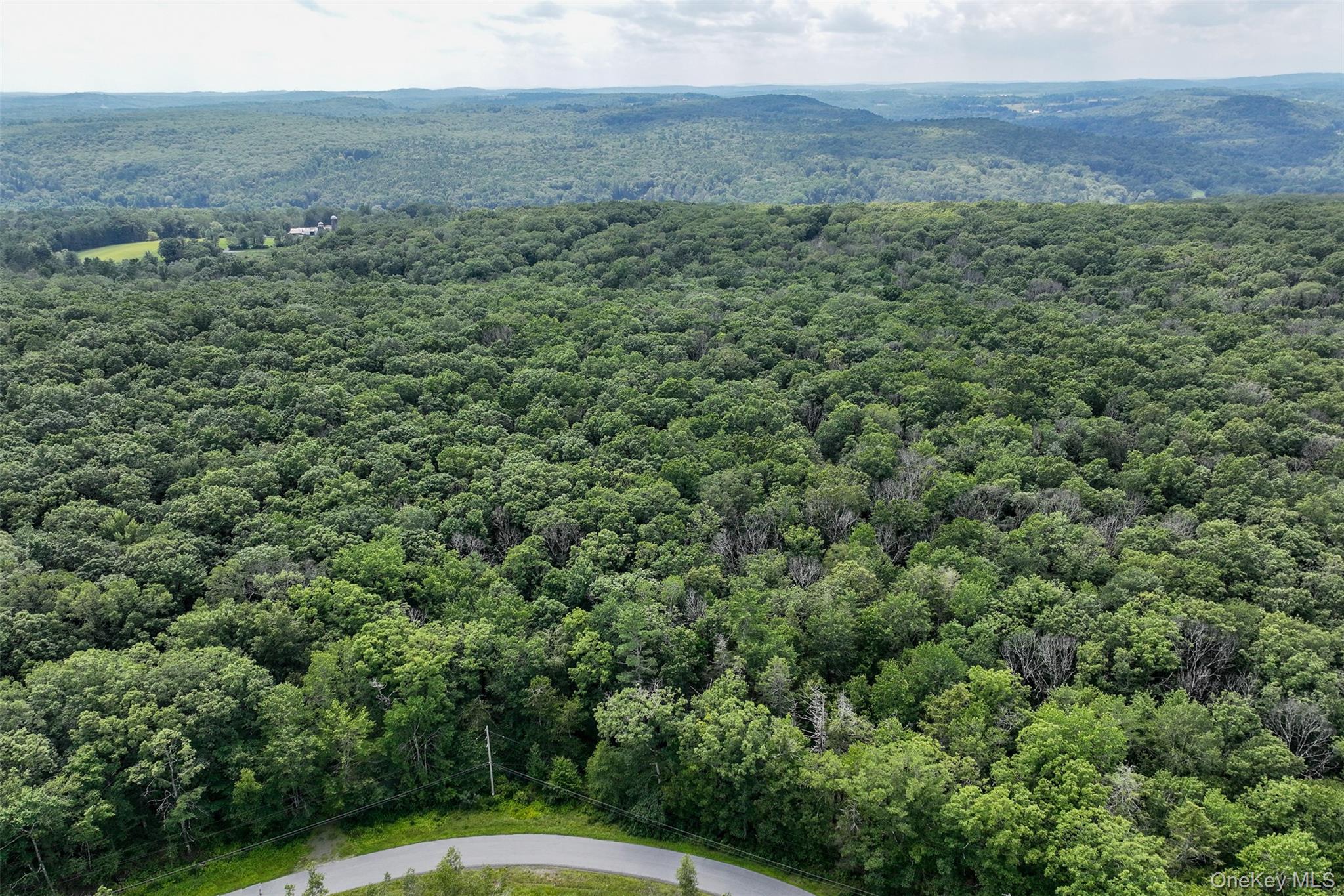 #14 photo, Lot 69 Cushetunk Drive, Cochecton , NY 12726