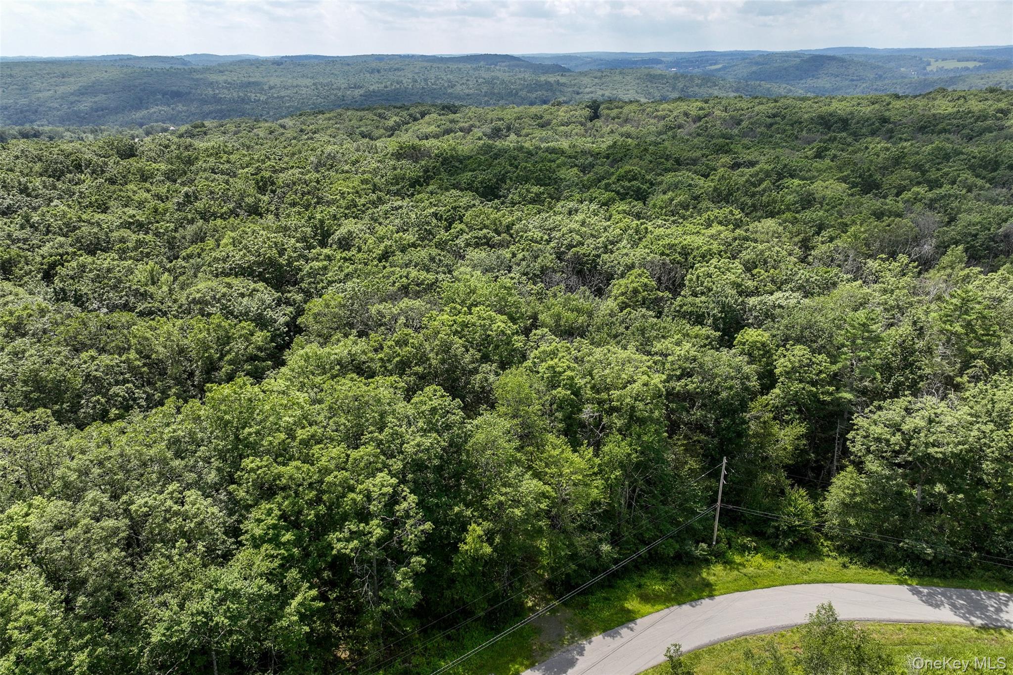 #2 photo, Lot 69 Cushetunk Drive, Cochecton , NY 12726