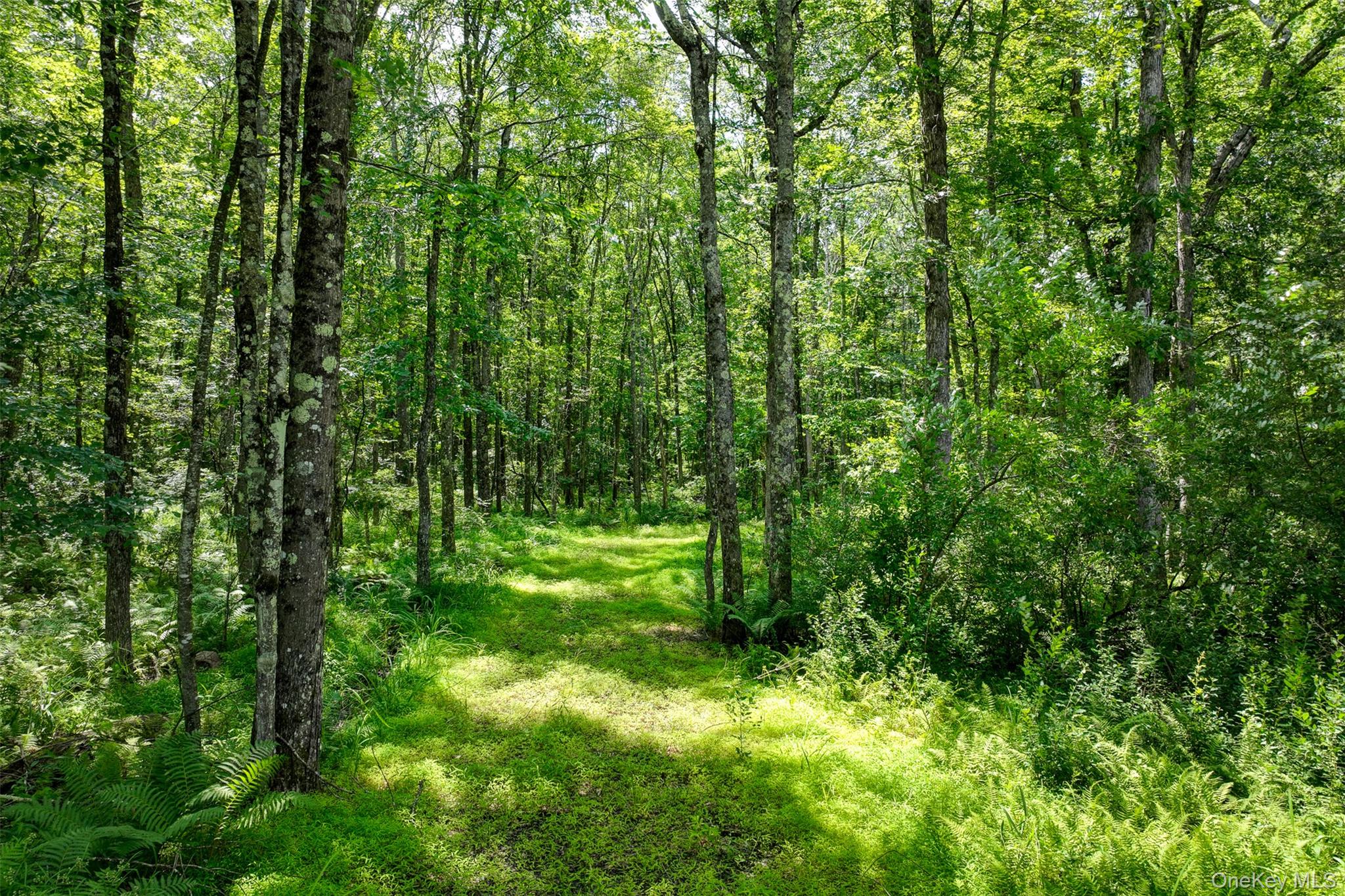 #3 photo, Lot 69 Cushetunk Drive, Cochecton , NY 12726