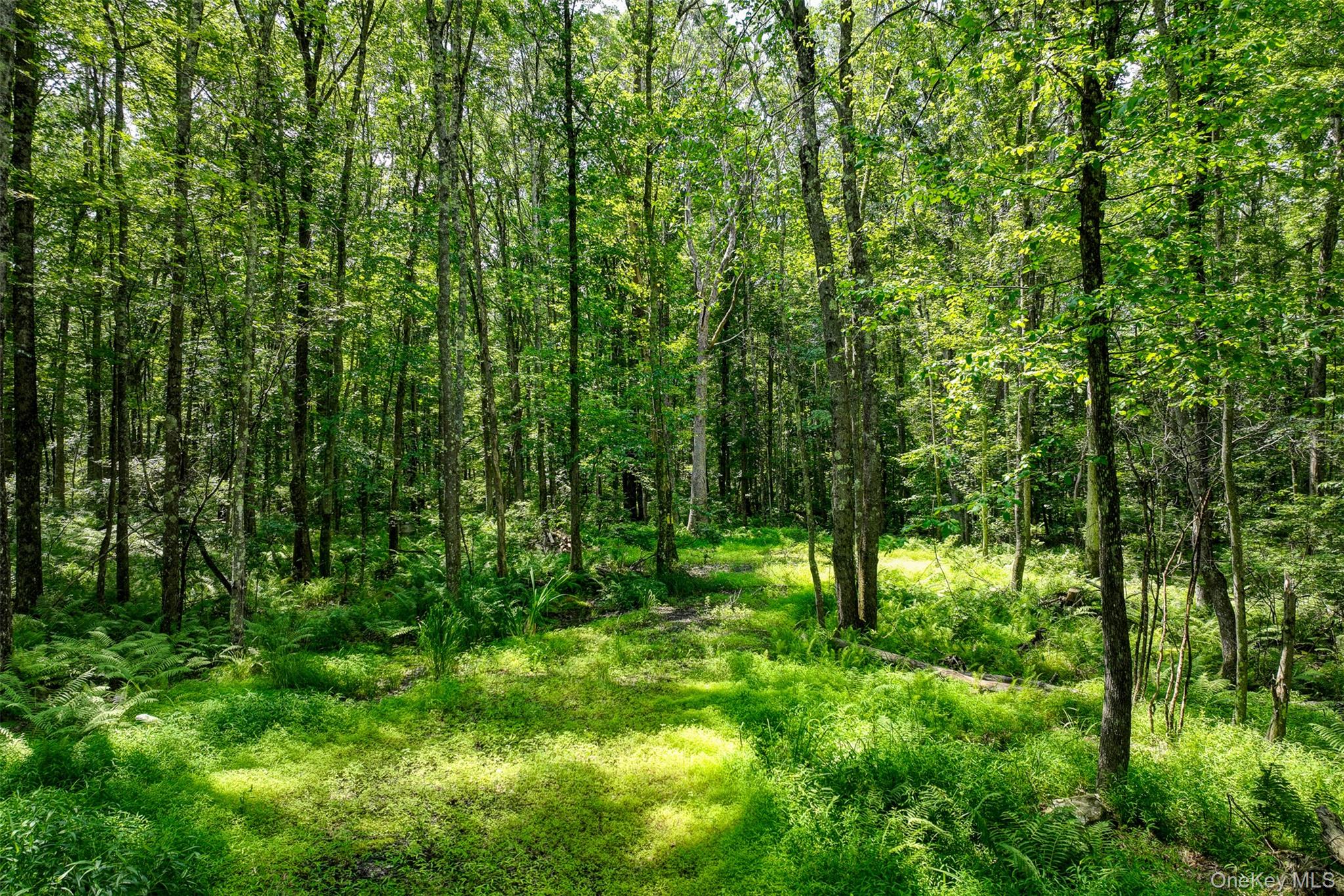 #5 photo, Lot 69 Cushetunk Drive, Cochecton , NY 12726