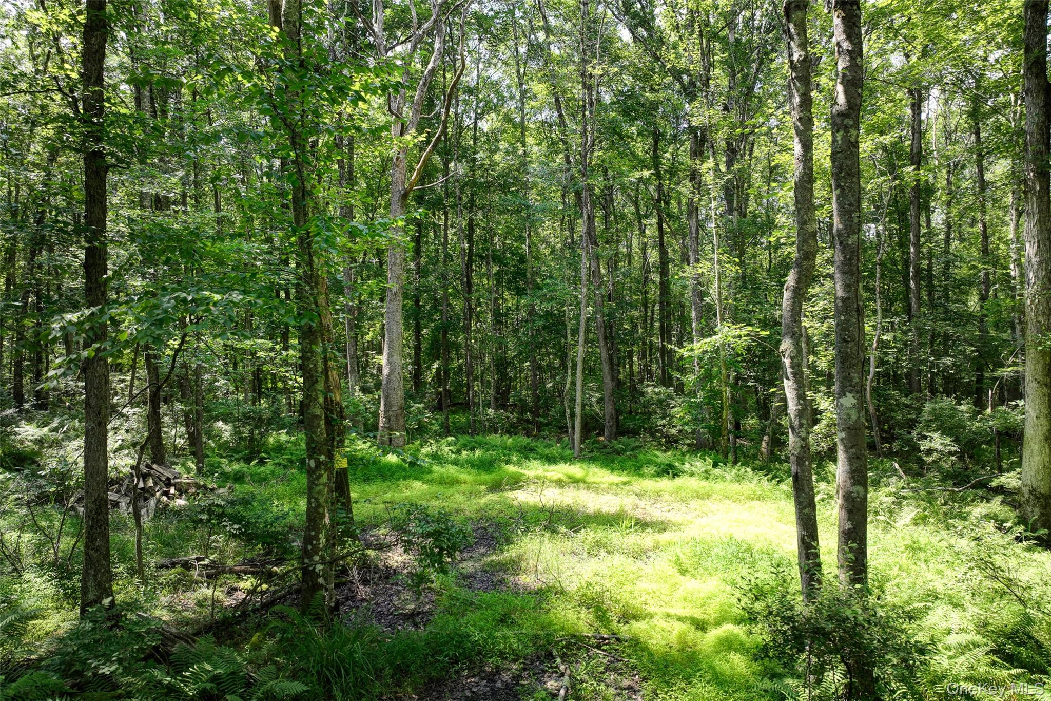 #6 photo, Lot 69 Cushetunk Drive, Cochecton , NY 12726