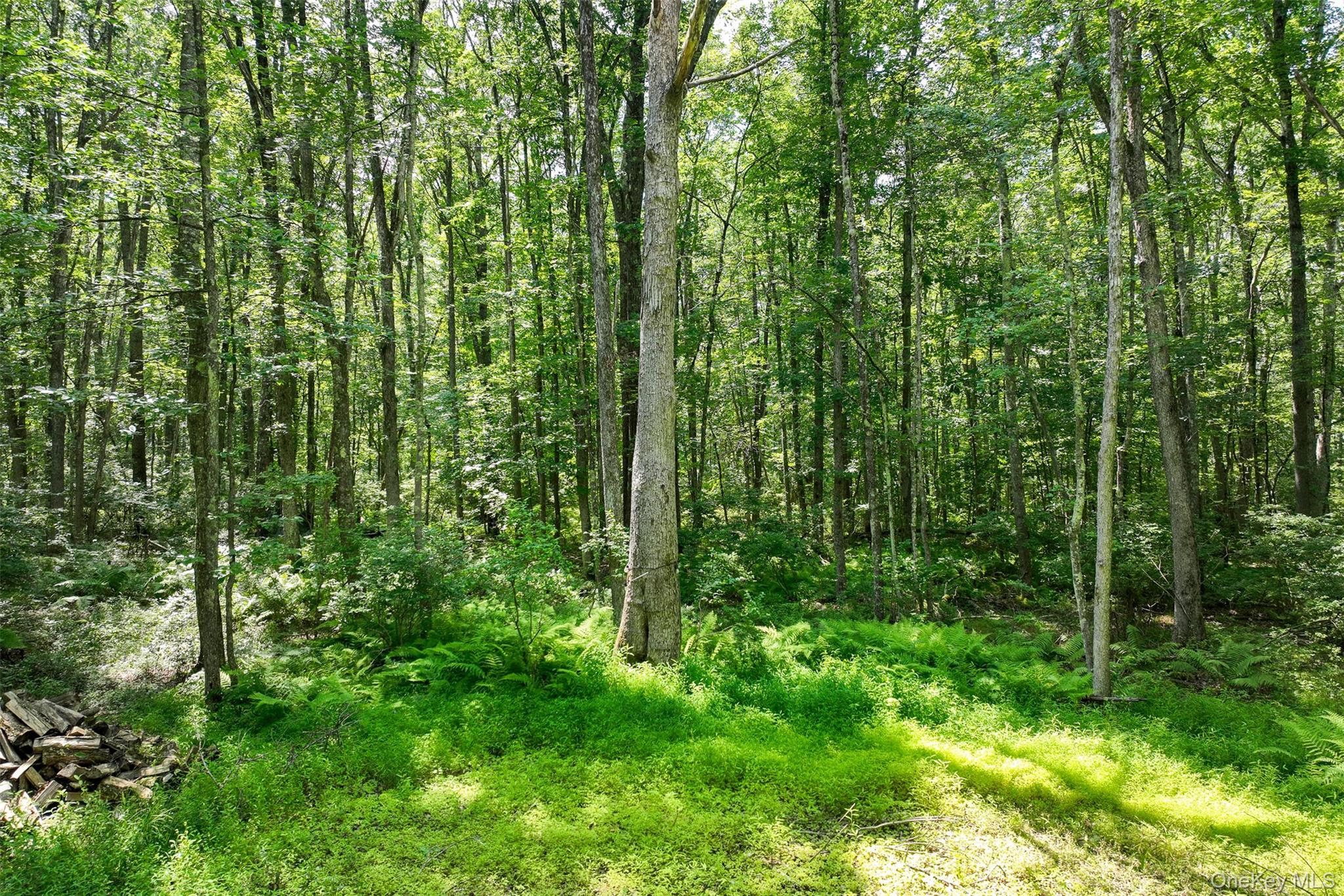 #7 photo, Lot 69 Cushetunk Drive, Cochecton , NY 12726