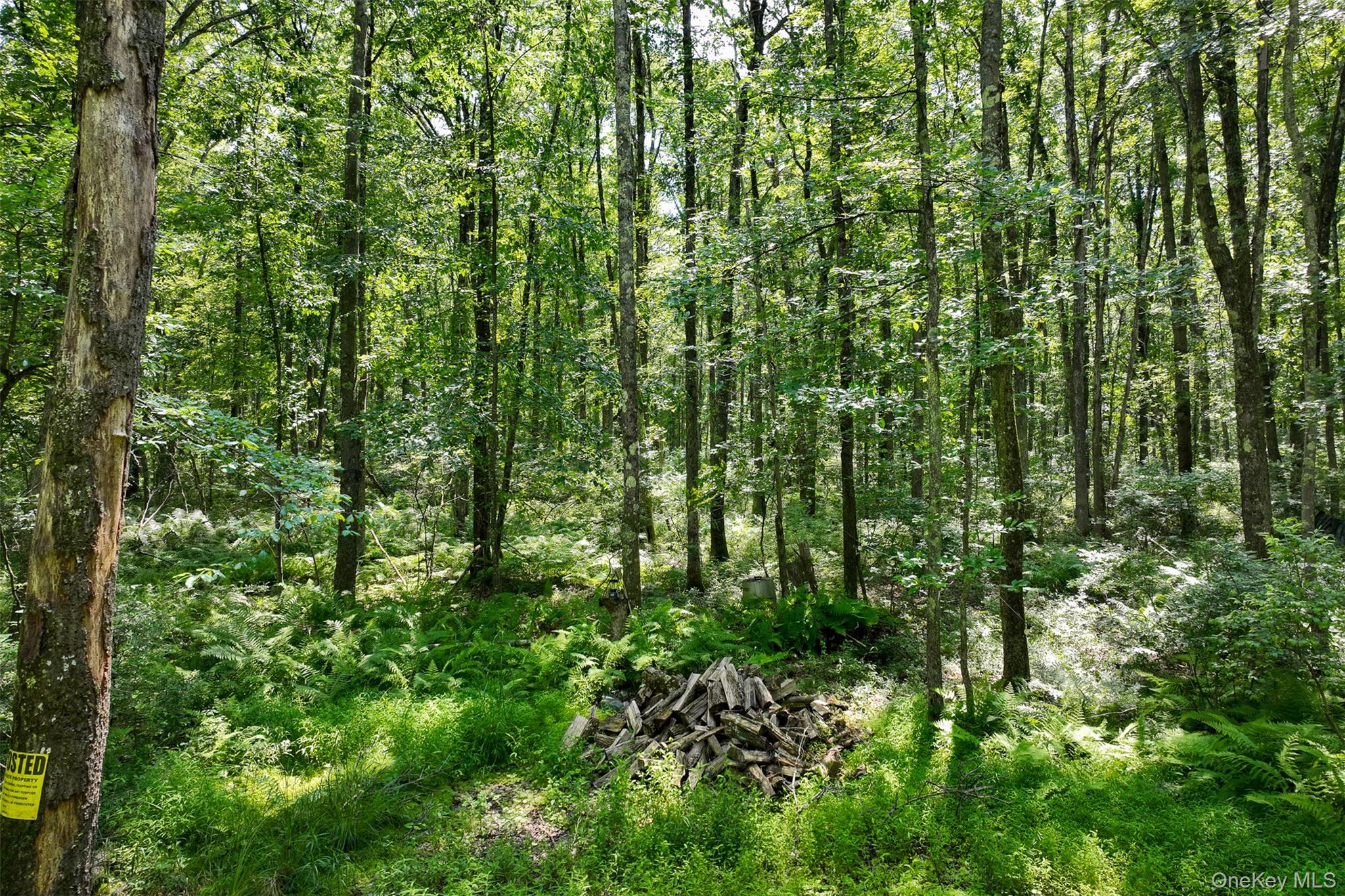 #8 photo, Lot 69 Cushetunk Drive, Cochecton , NY 12726