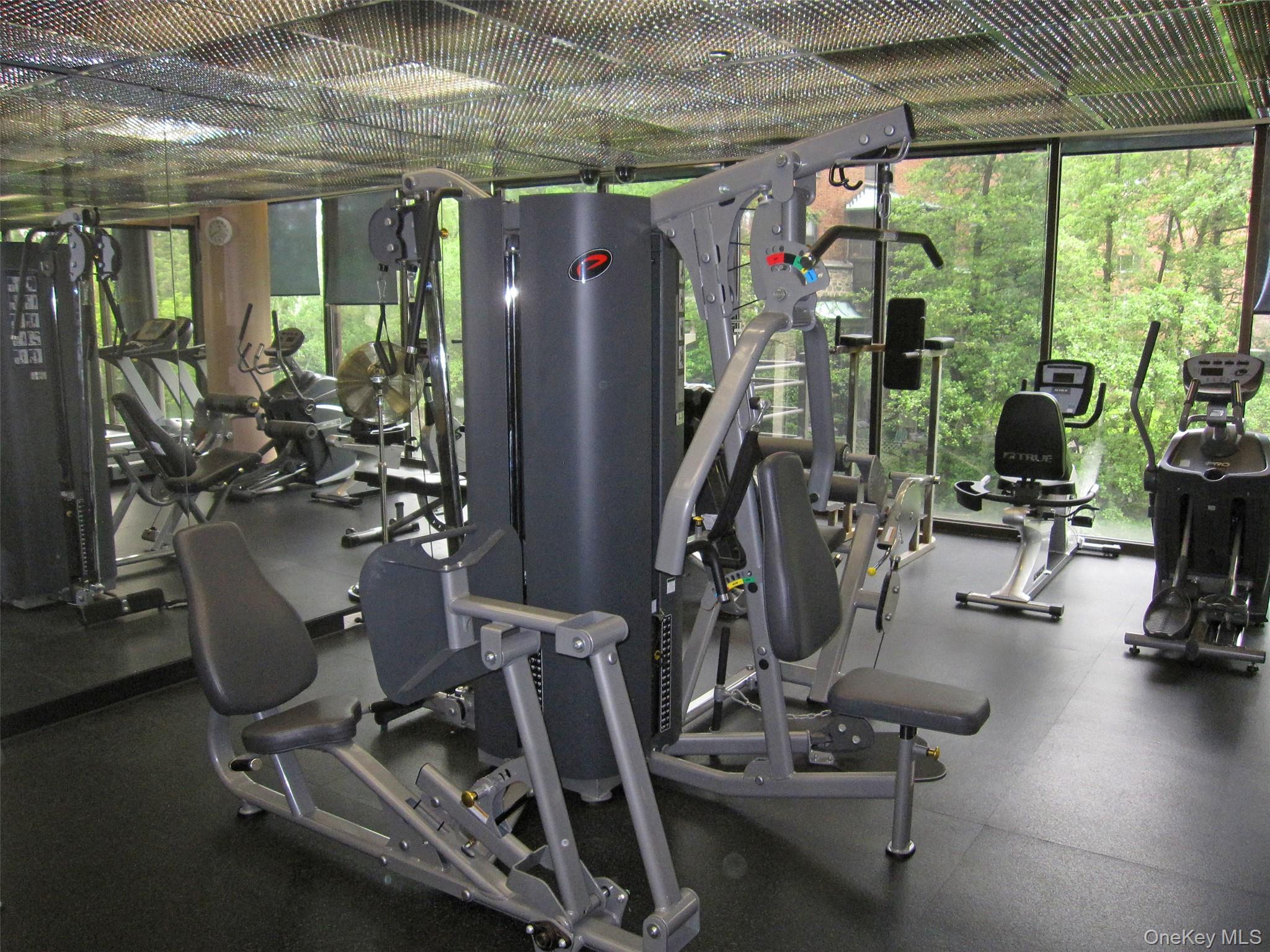 #14 photo, 50 E Hartsdale Avenue, Hartsdale , NY 10530