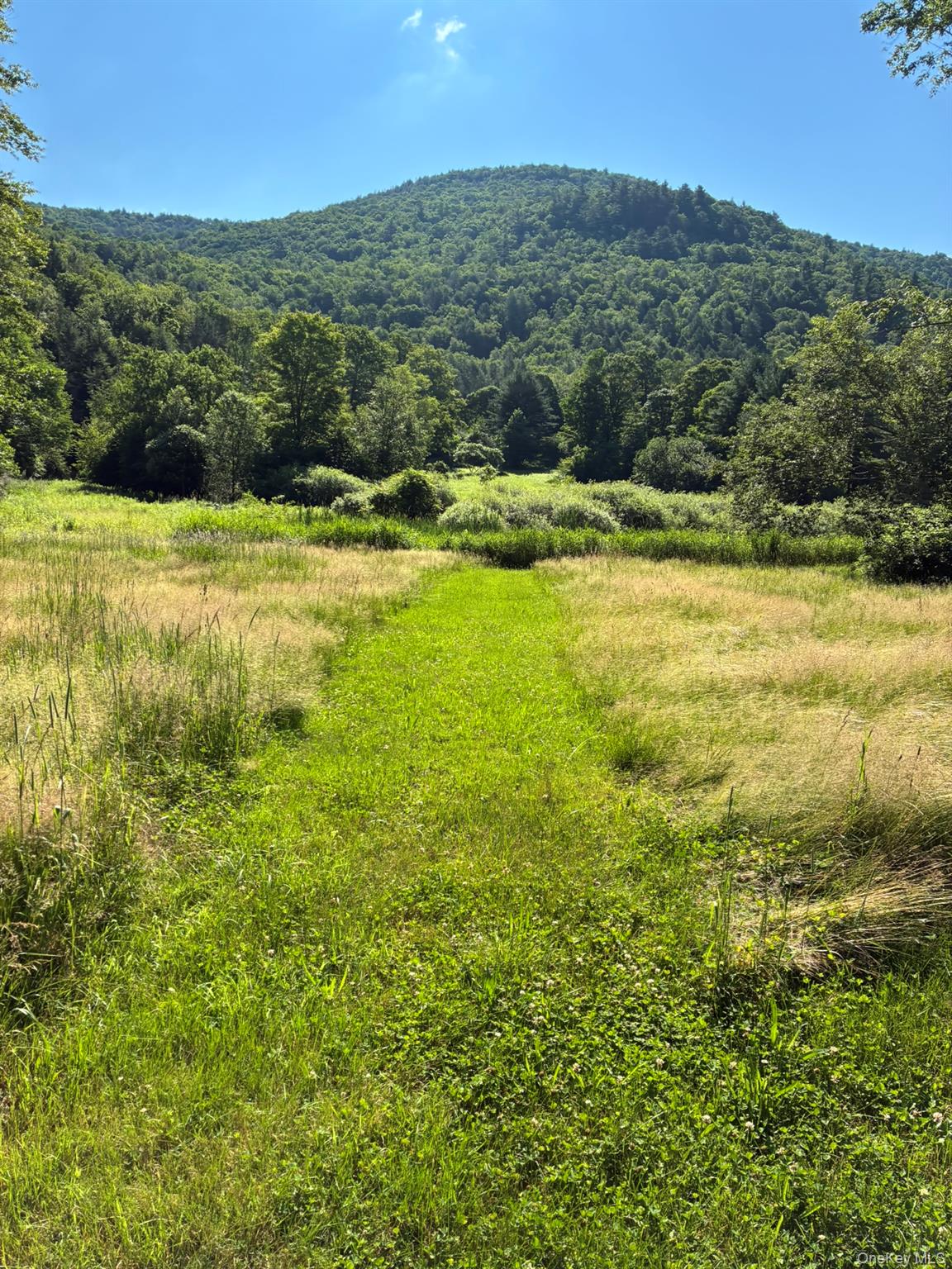 #16 photo, 1140 Harvard Road, 紐約州 East Branch , NY 13756