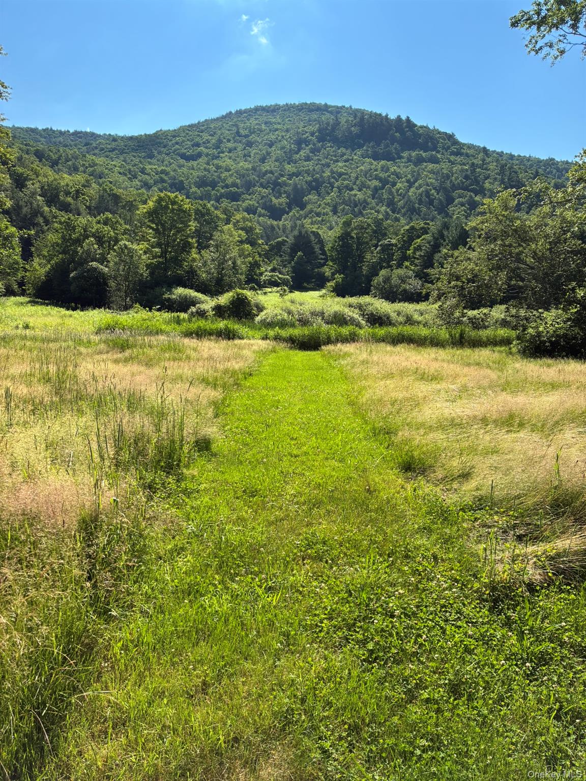 #18 photo, 1140 Harvard Road, 紐約州 East Branch , NY 13756