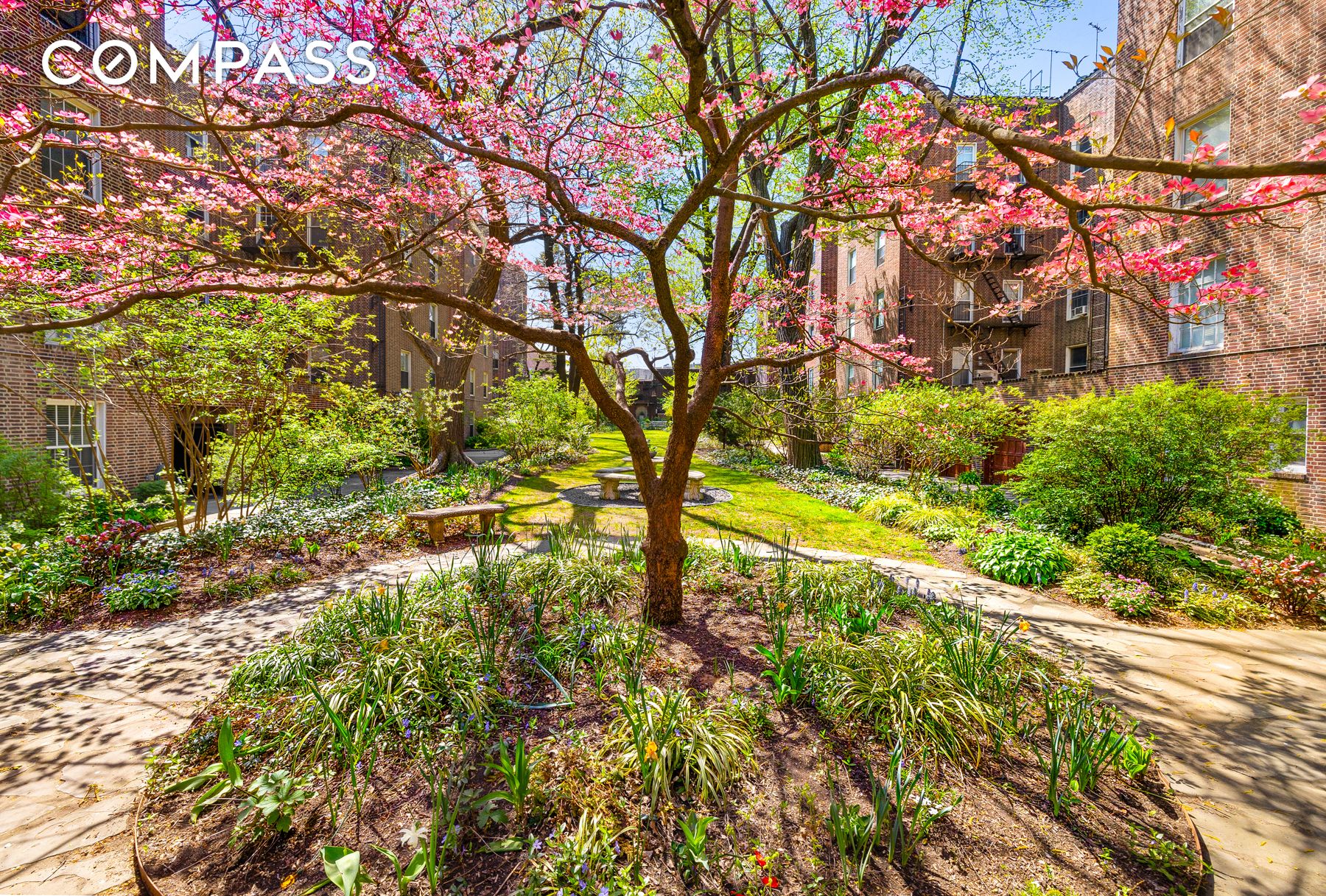 #13 photo, 37-52 85th Street, كوينز Jackson Heights , NY 11372