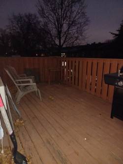 #13 photo, 156-00 77 Street, #2, Куинс ‖ Howard Beach , NY 11414