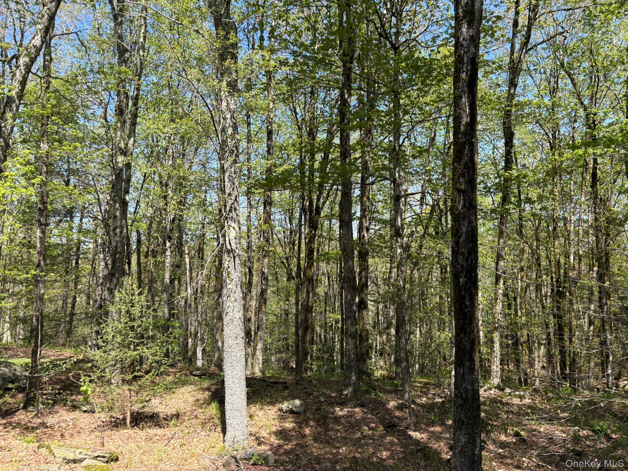 #2 photo, County Hwy 7, Roscoe , NY 12776