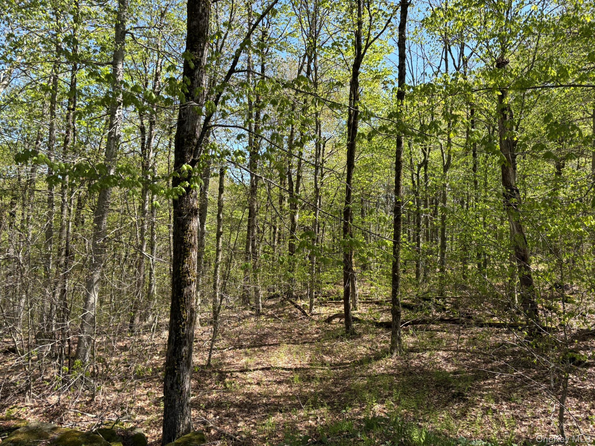 #3 photo, County Hwy 7, Roscoe , NY 12776