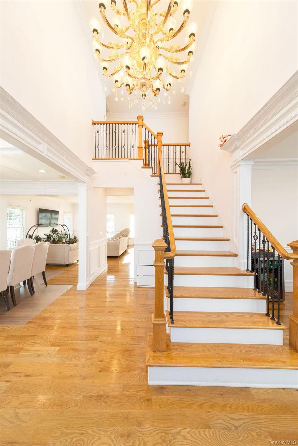 #2 photo, 157 Evans Avenue, Albertson , NY 11507