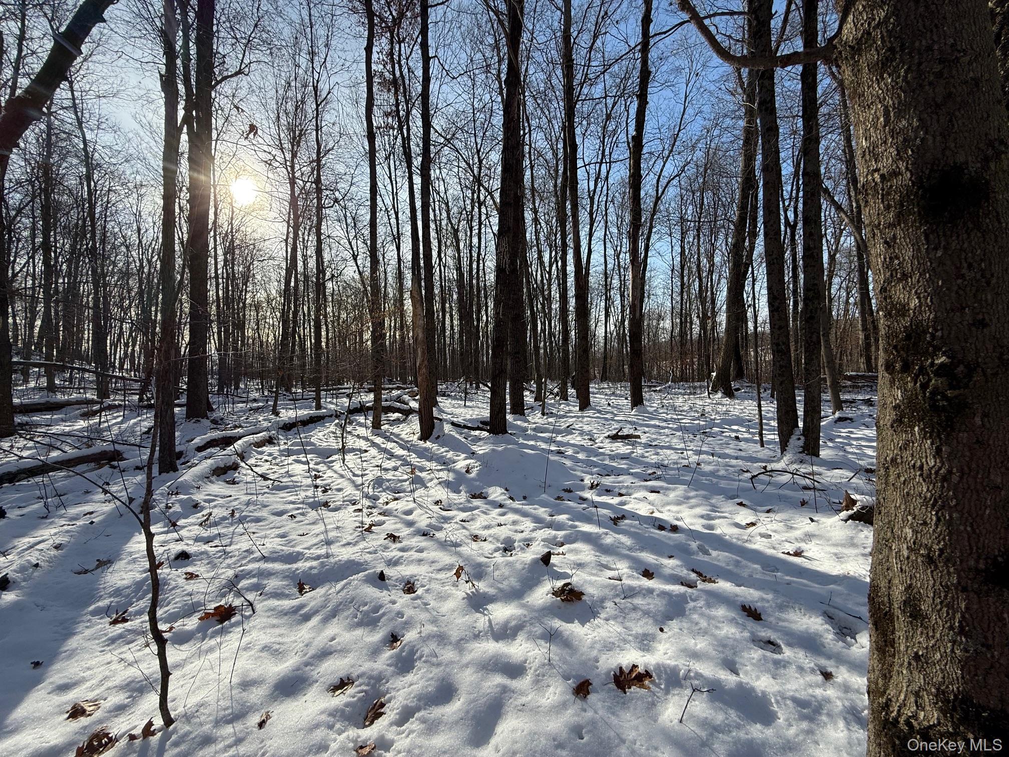 #10 photo, 124 Cooper, Millerton , NY 12546