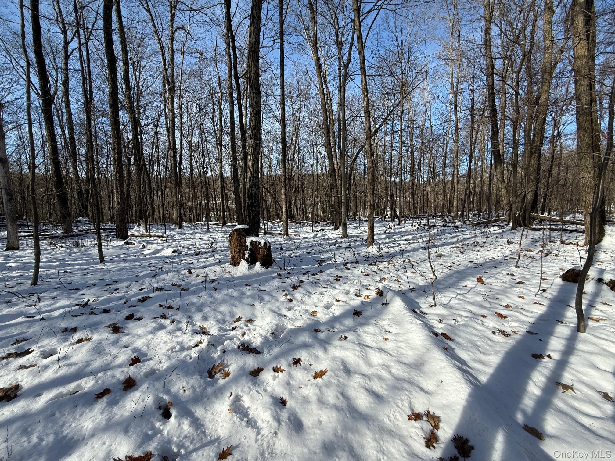 #11 photo, 124 Cooper, Millerton , NY 12546