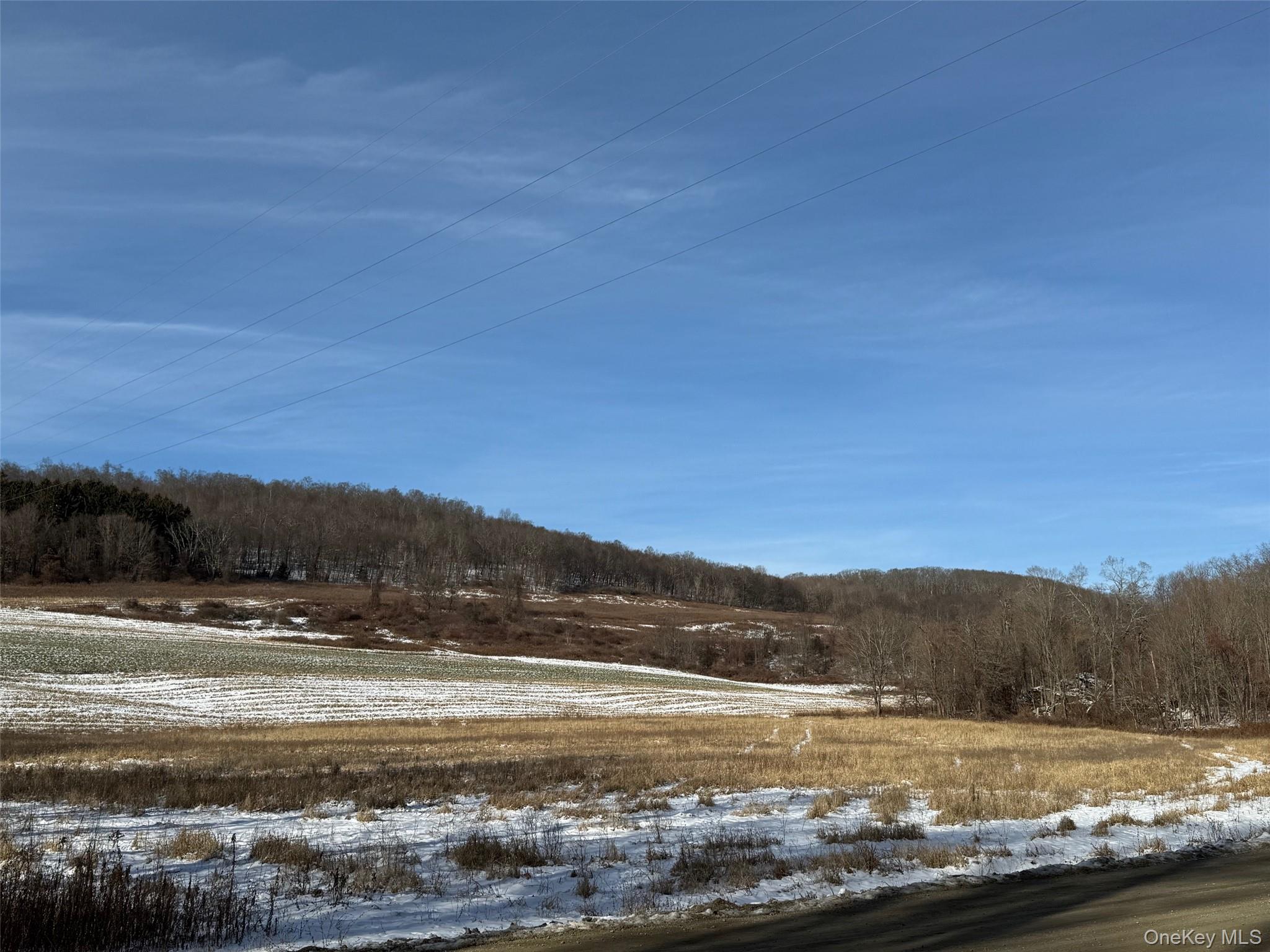 #12 photo, 124 Cooper, Millerton , NY 12546