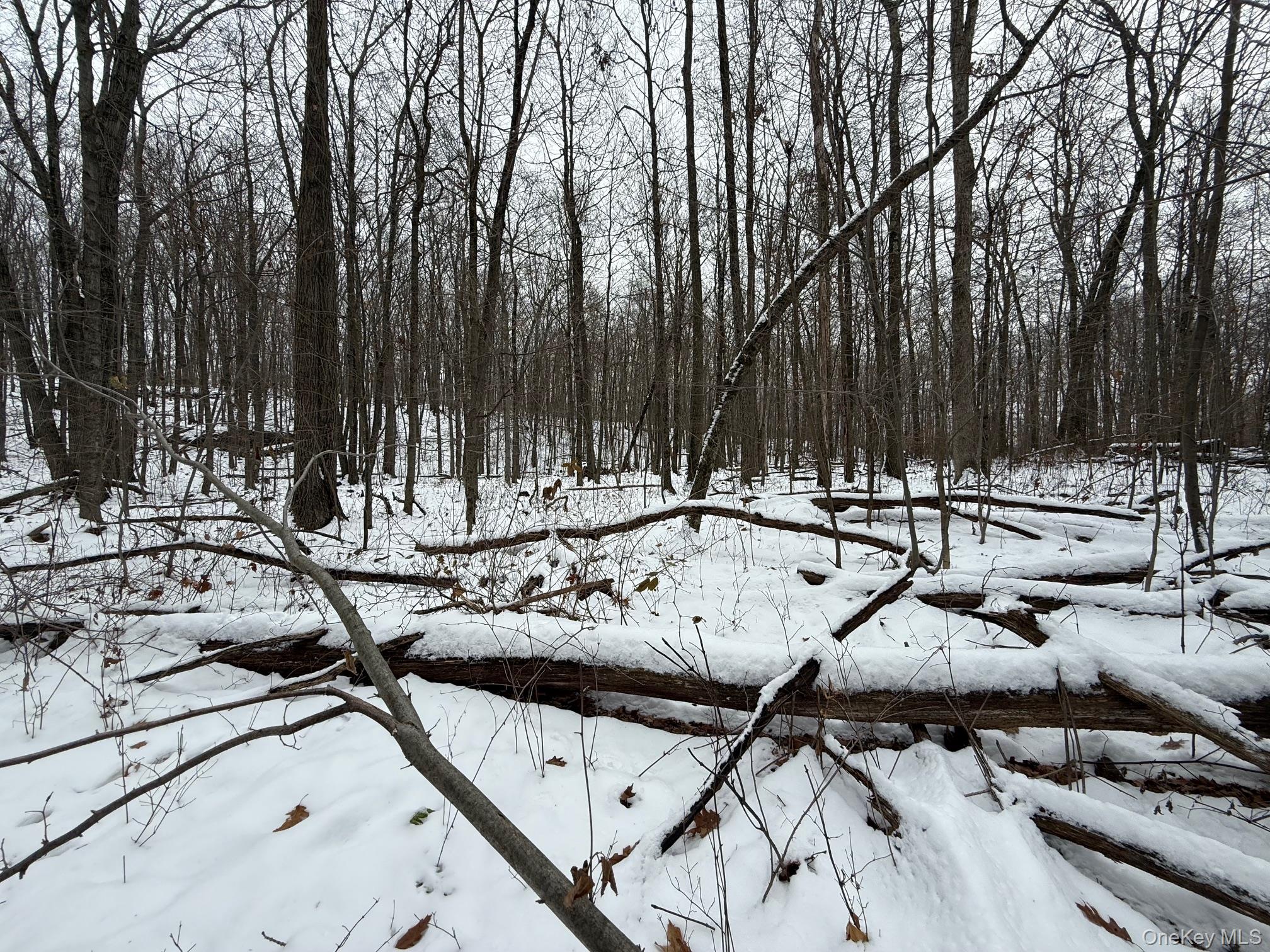 #2 photo, 124 Cooper, 紐約州 Millerton , NY 12546