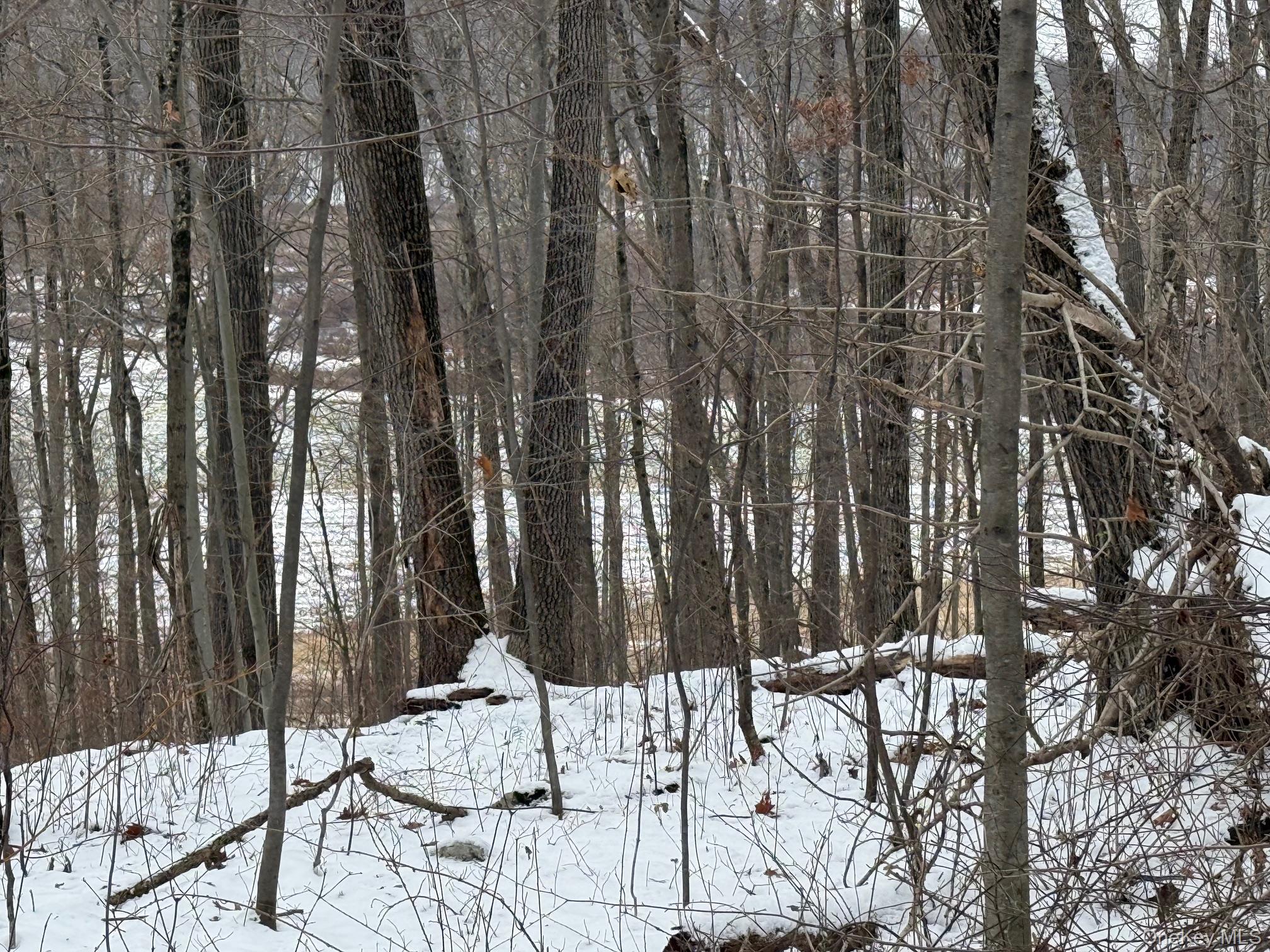 #3 photo, 124 Cooper, 紐約州 Millerton , NY 12546