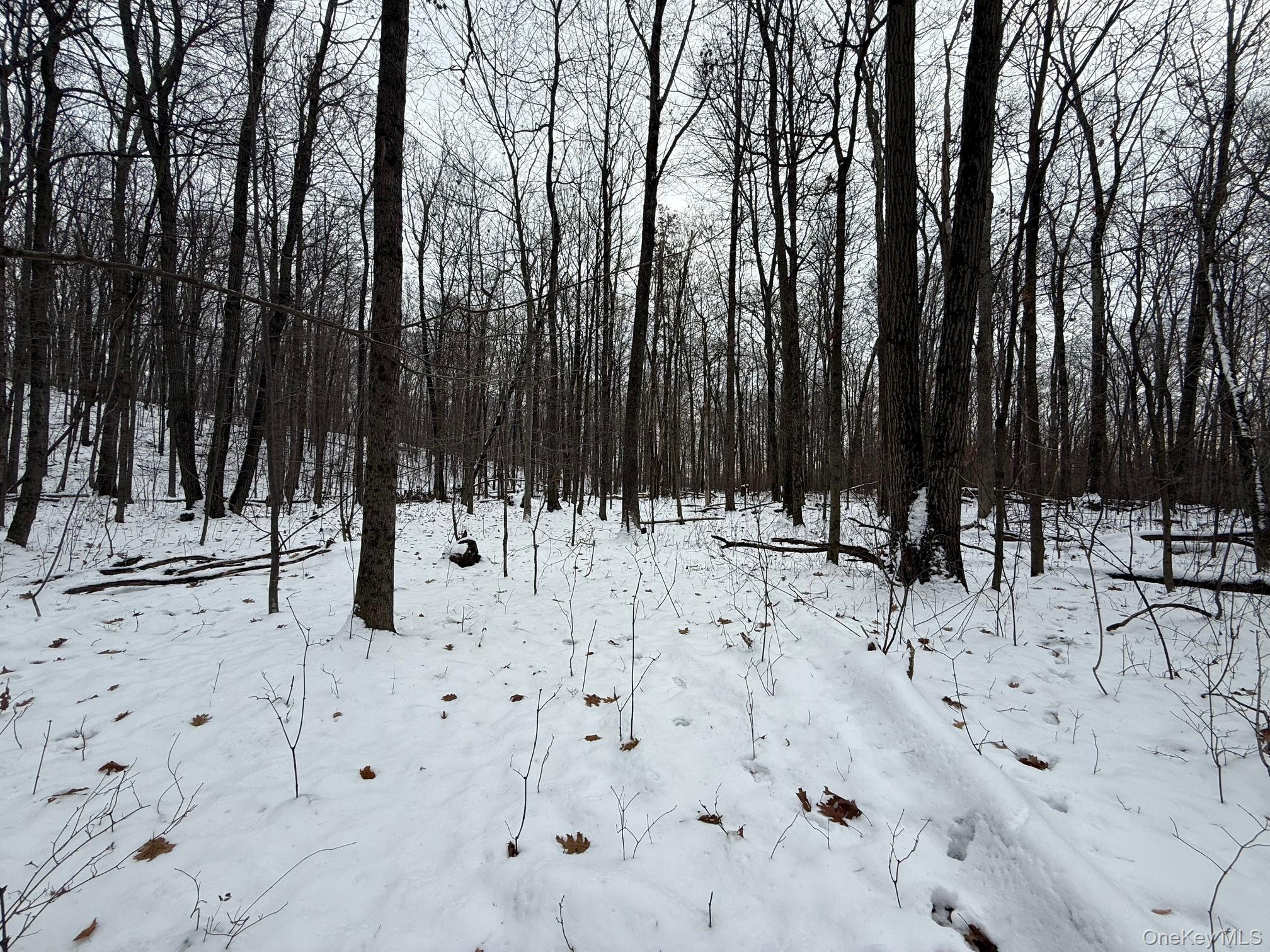 #5 photo, 124 Cooper, 紐約州 Millerton , NY 12546