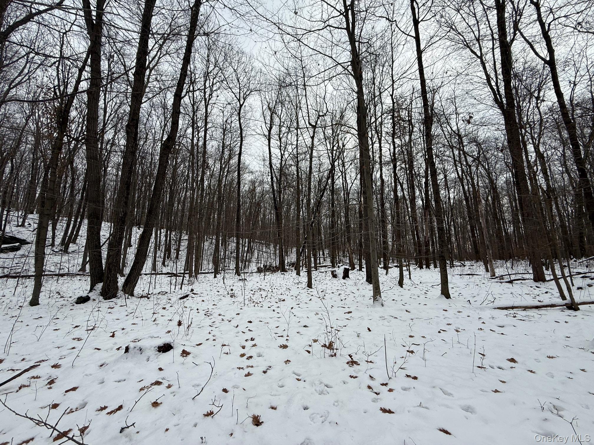 #6 photo, 124 Cooper, 紐約州 Millerton , NY 12546