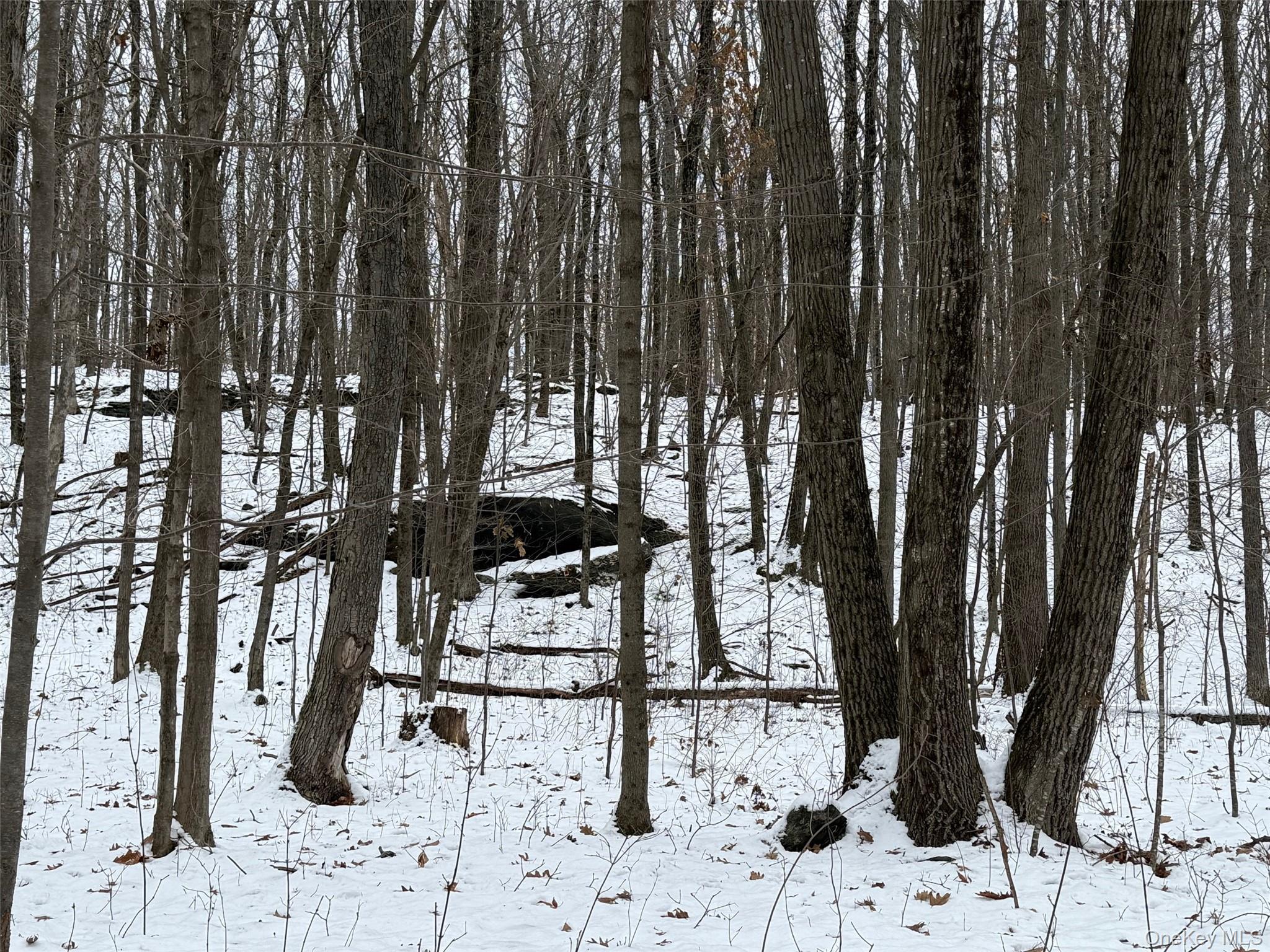 #7 photo, 124 Cooper, 紐約州 Millerton , NY 12546