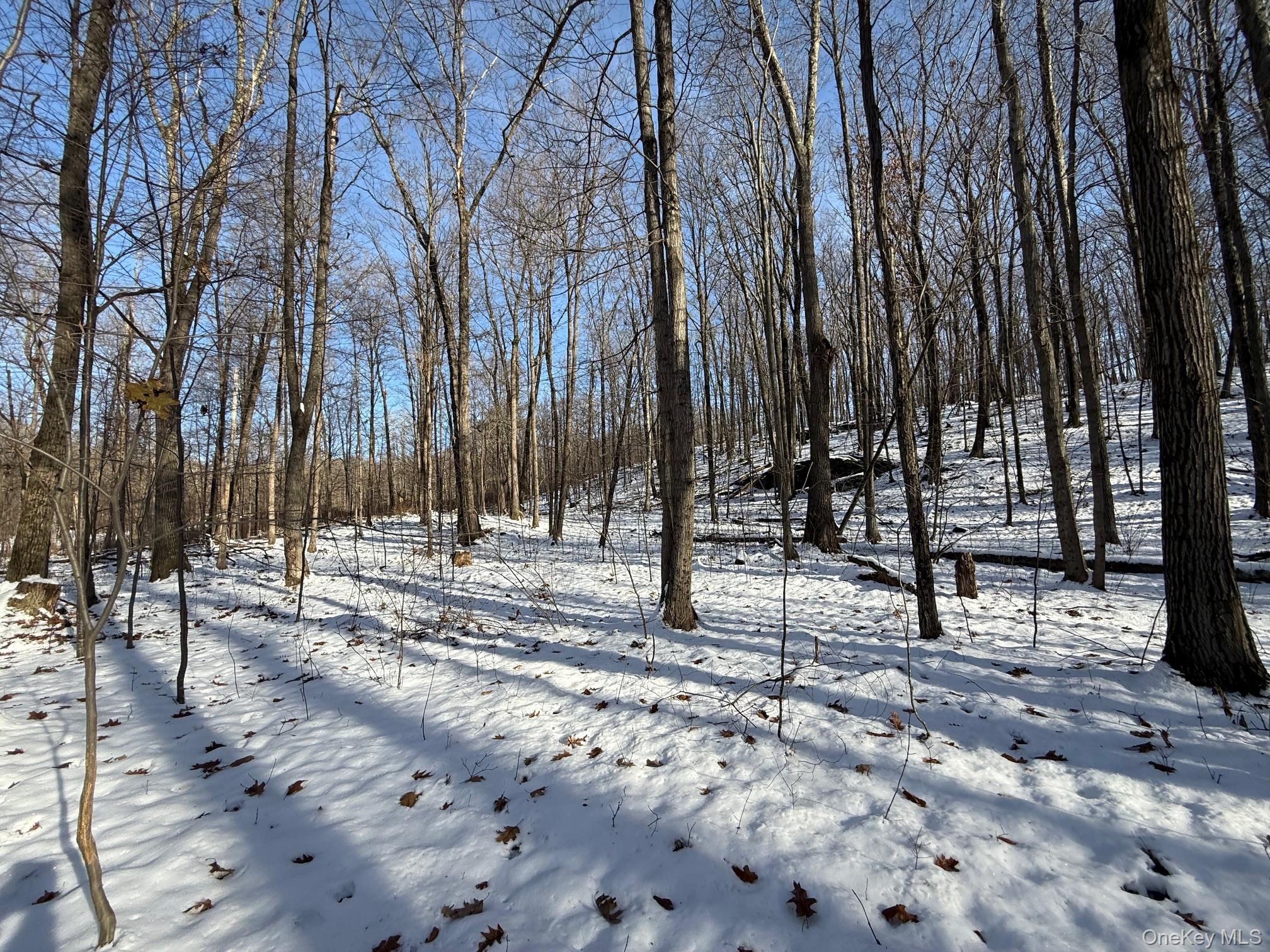 #9 photo, 124 Cooper, Millerton , NY 12546